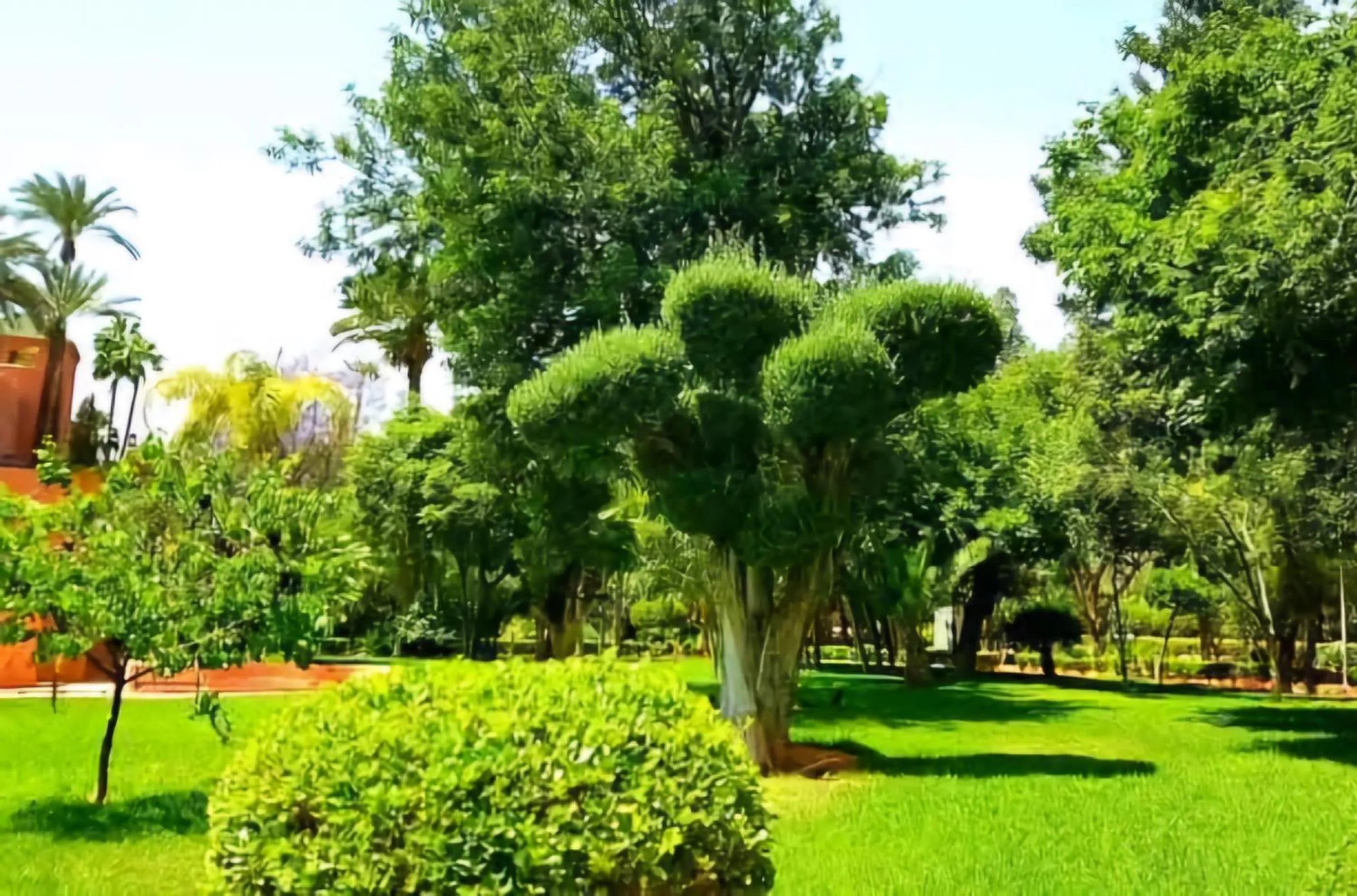 Garden in La Perle de l'Atlas by Golf Resort
