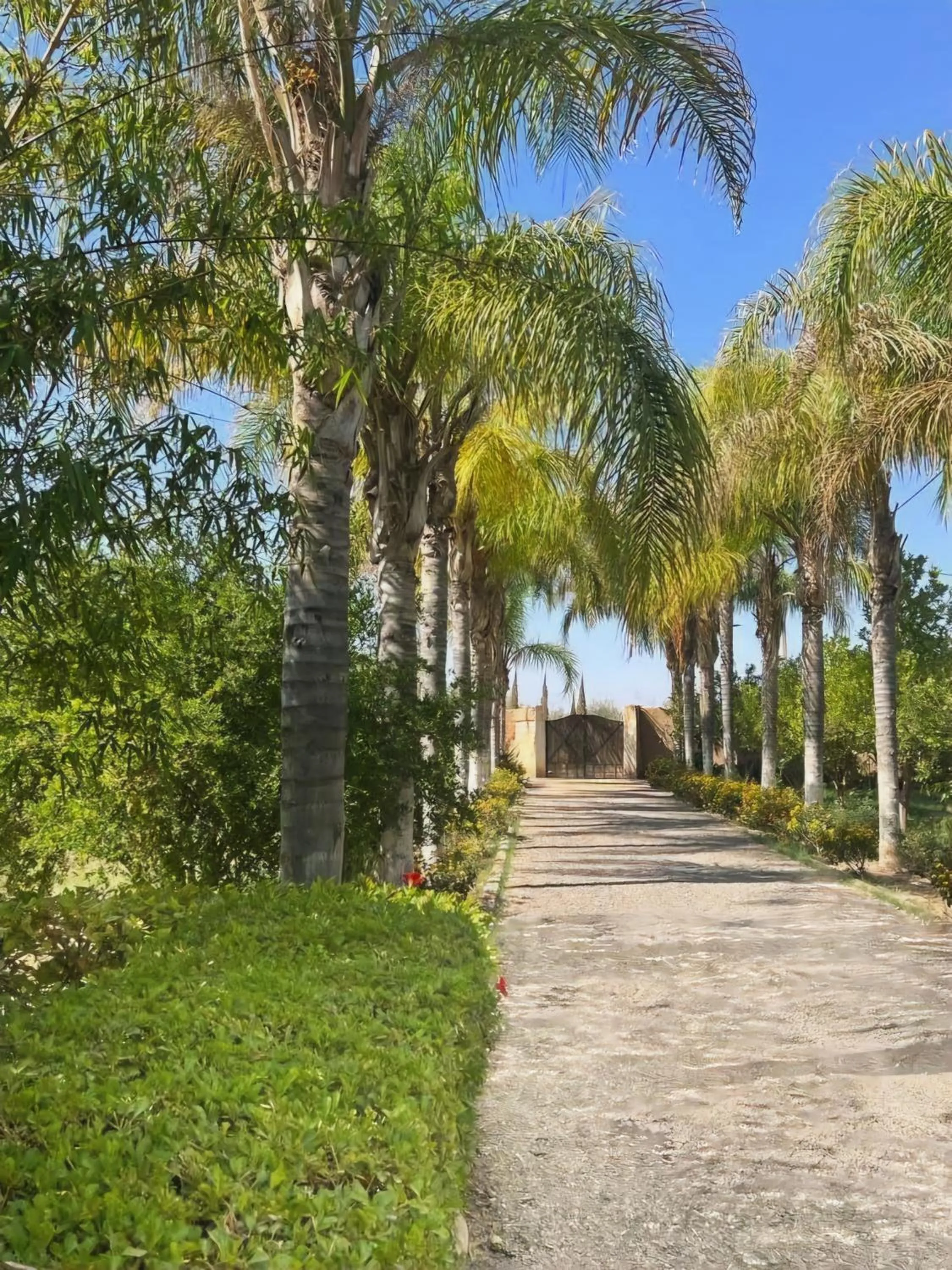 Garden in La Perle de l'Atlas by Golf Resort