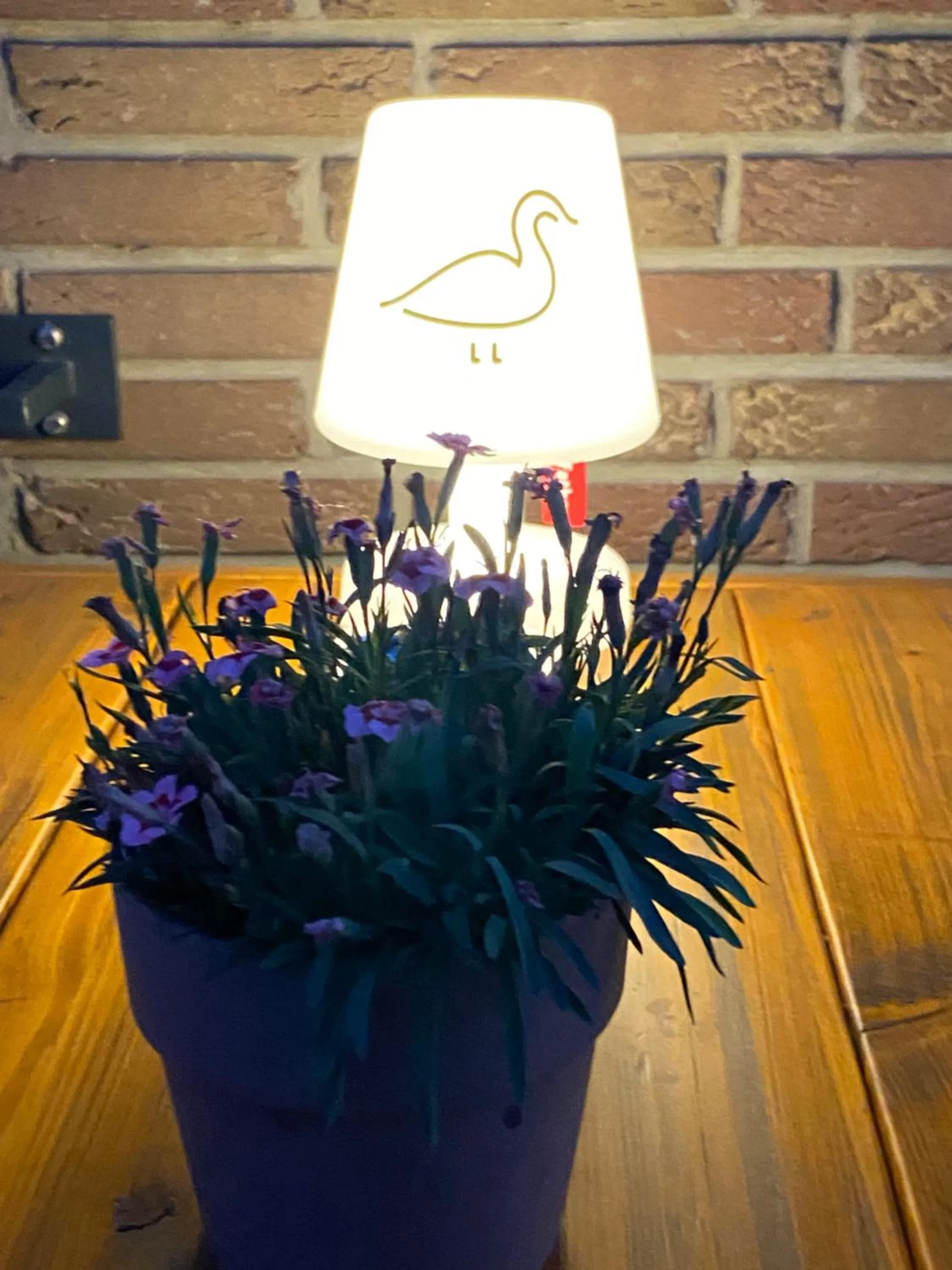 Facade/entrance in Landhotel Jagdschlösschen