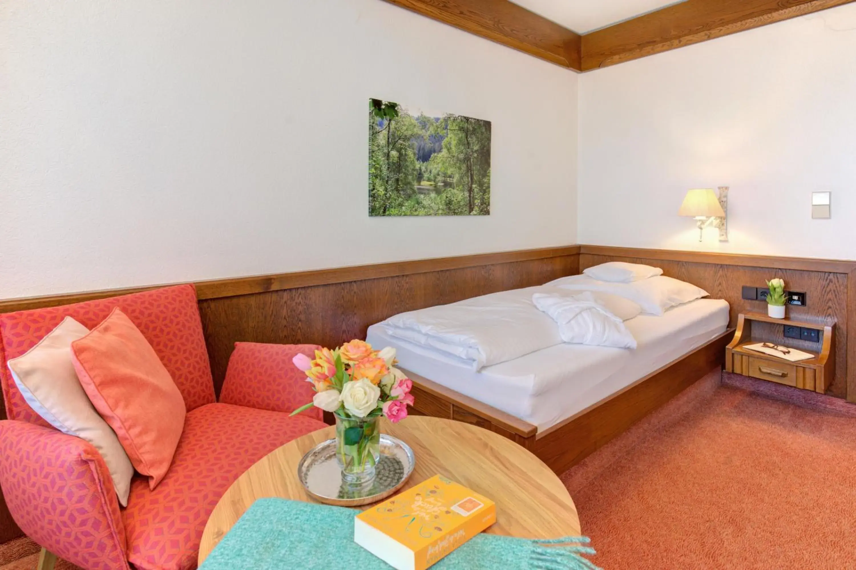 Single Room - Rinkenberg in Hotel Restaurant Falken Single Room - Rinkenberg in Hotel Restaurant Falken