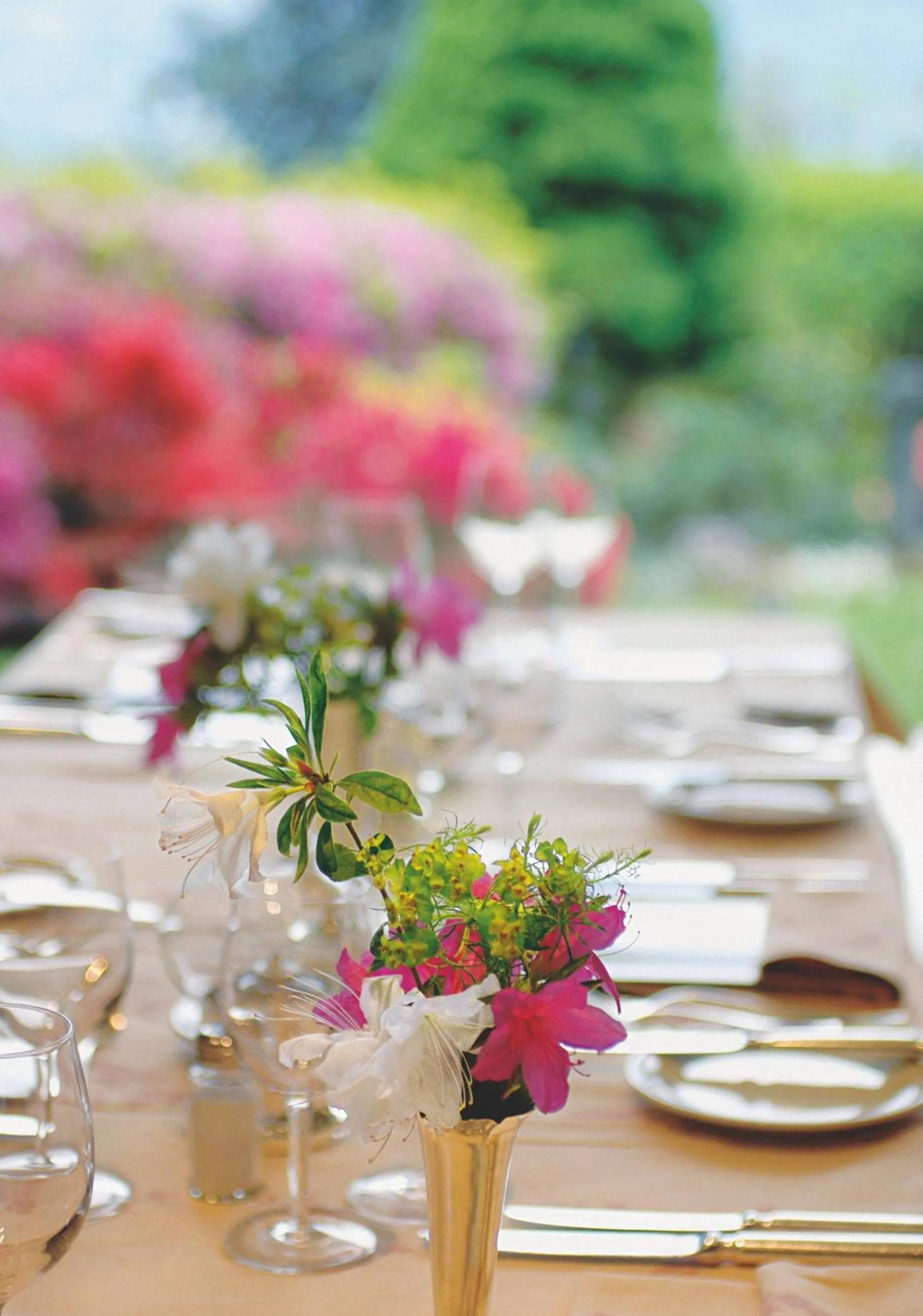 Restaurant/places to eat in Hotel Ascona