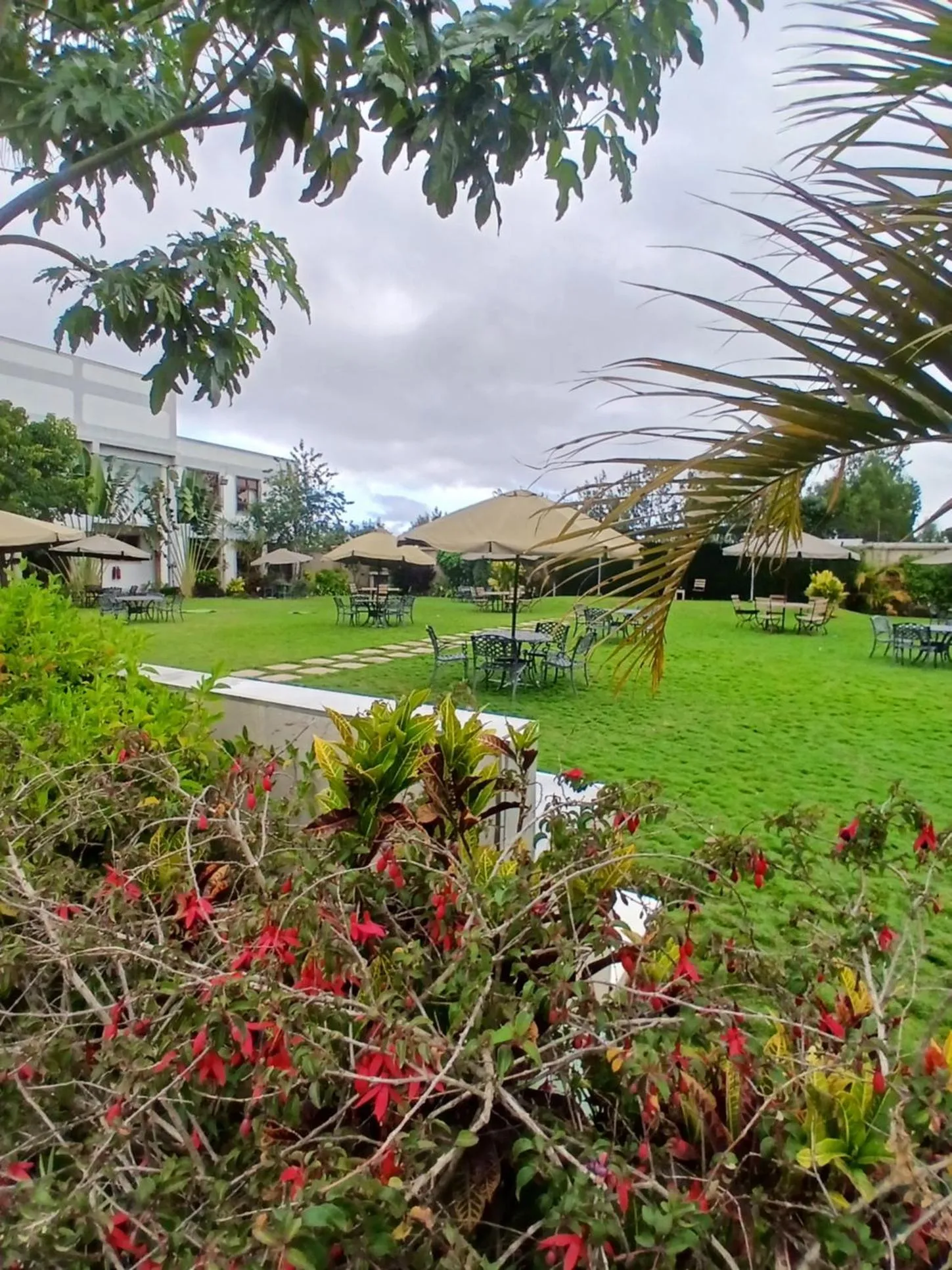 Natural landscape in Esiankiki Resort & Spa - Nanyuki