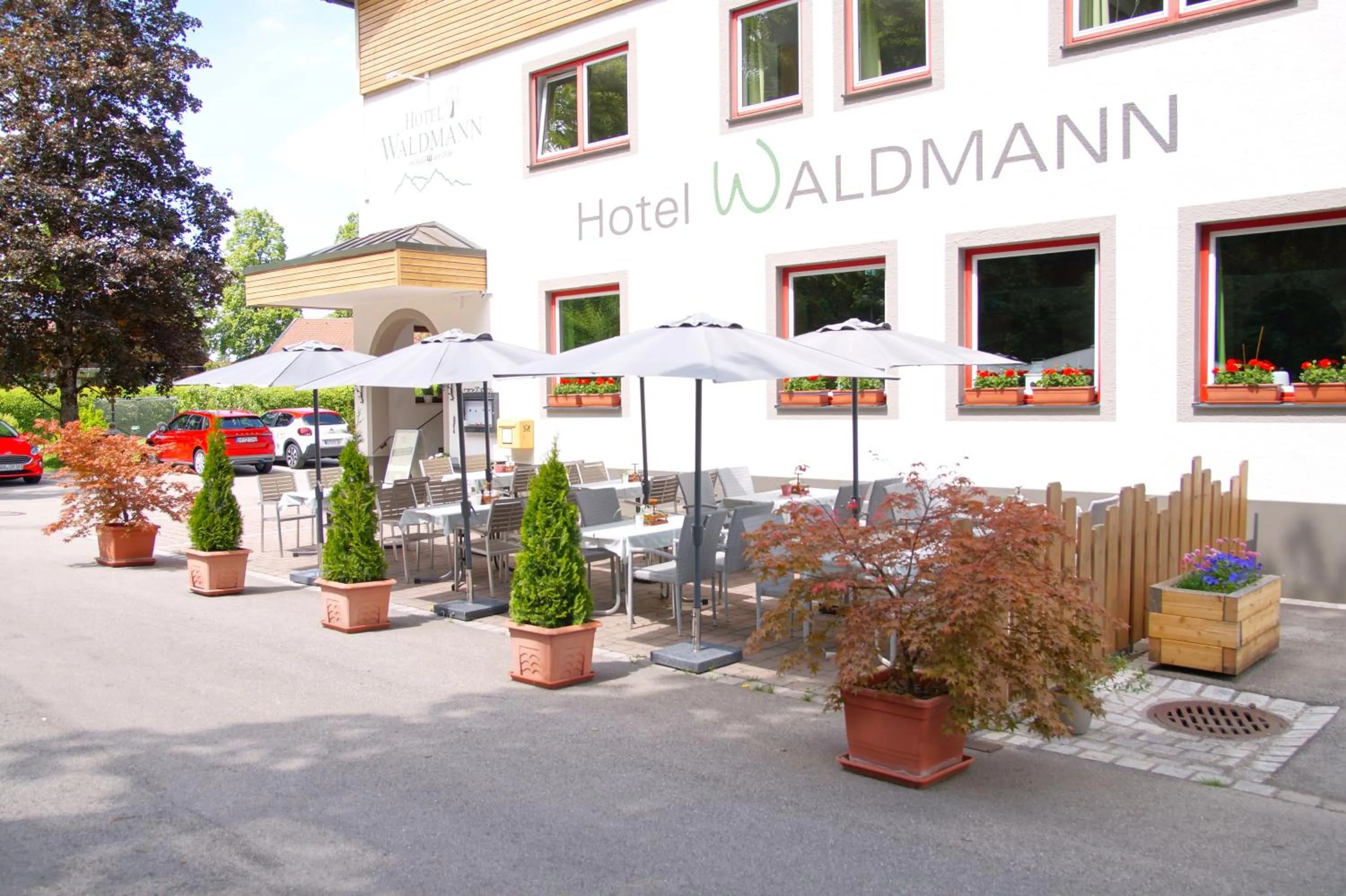 Restaurant/places to eat in Hotel Waldmann