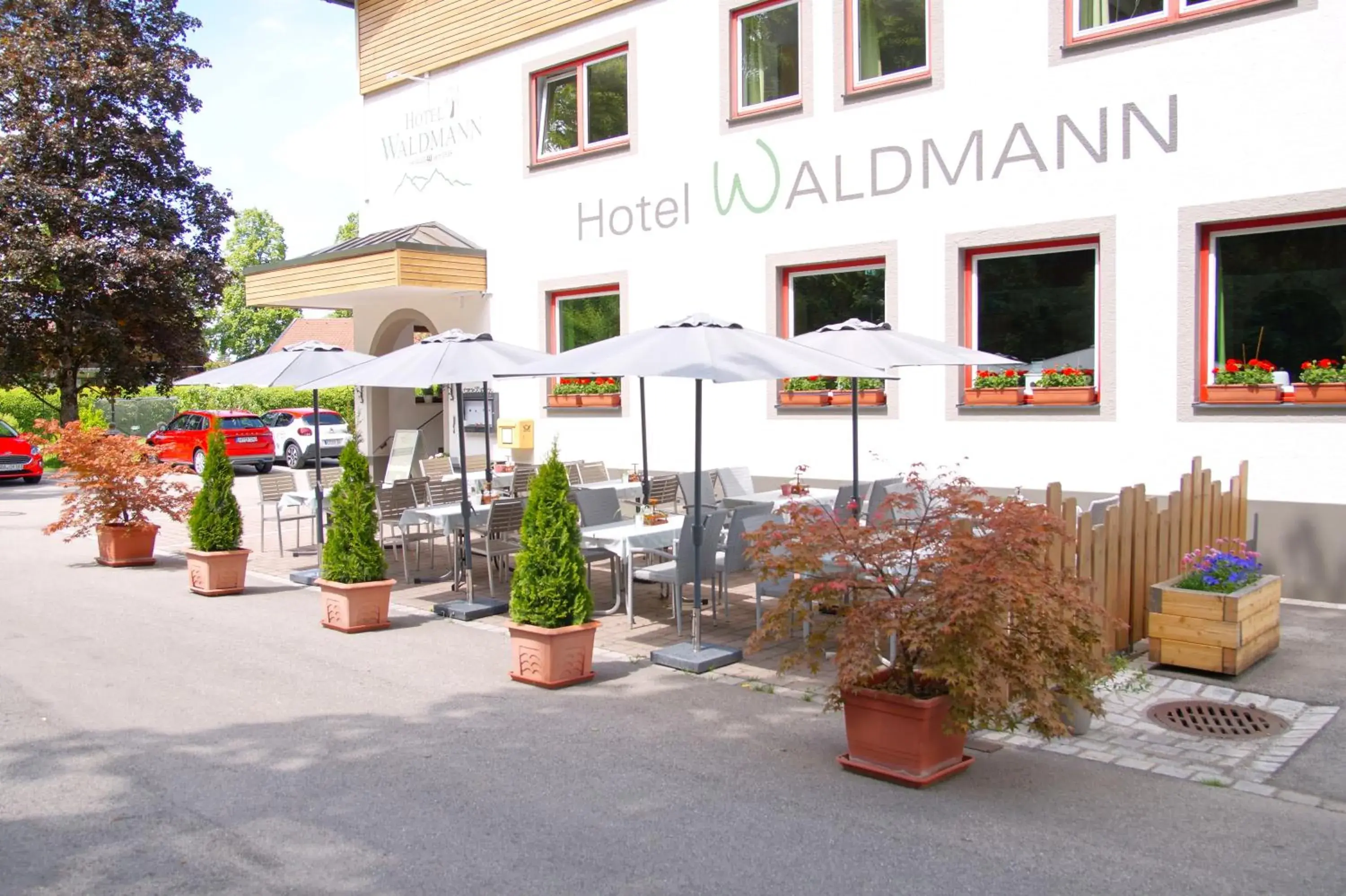 Restaurant/places to eat in Hotel Waldmann Restaurant/places to eat in Hotel Waldmann