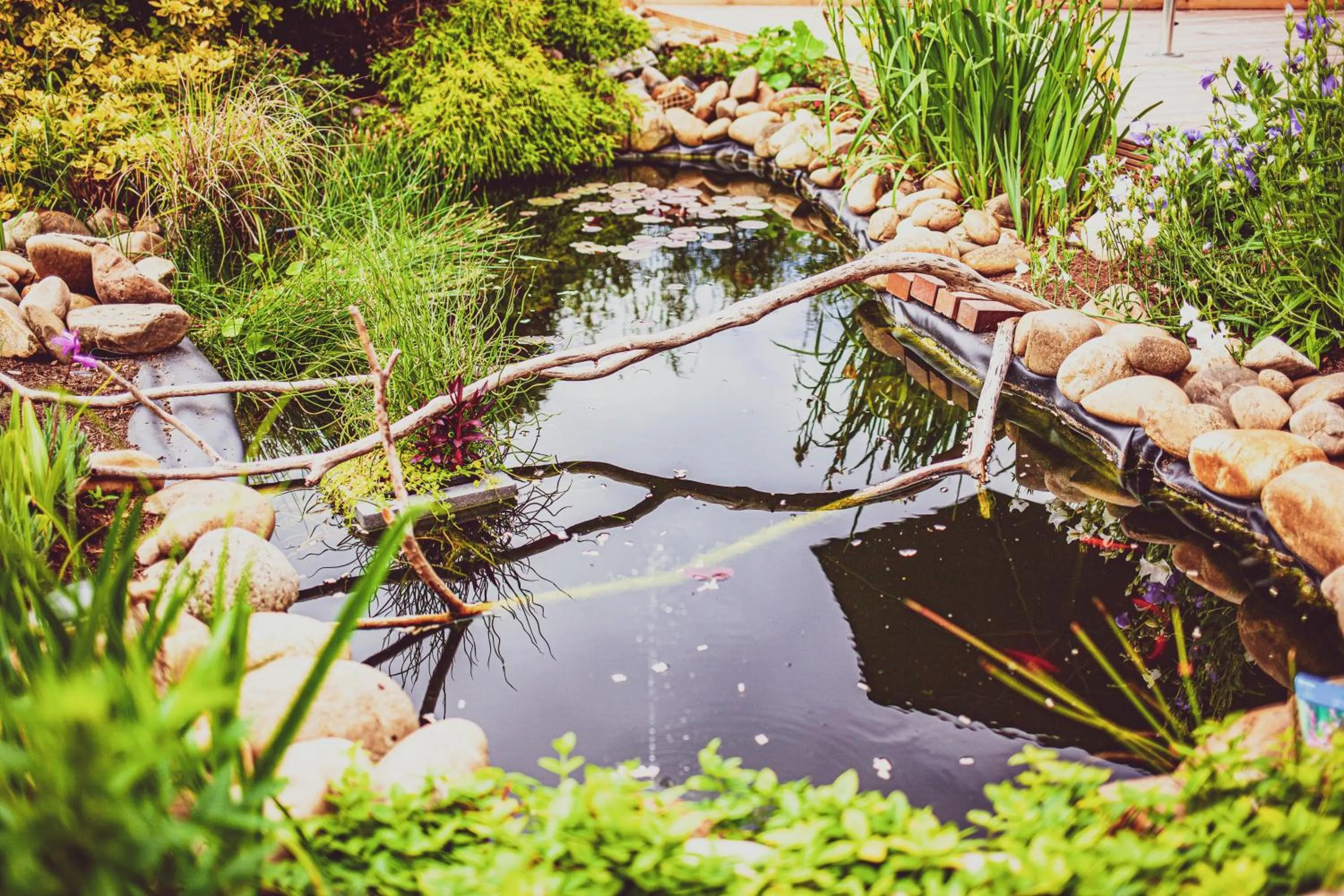 Garden in Relitto Boutique und Aparthotel Borkum