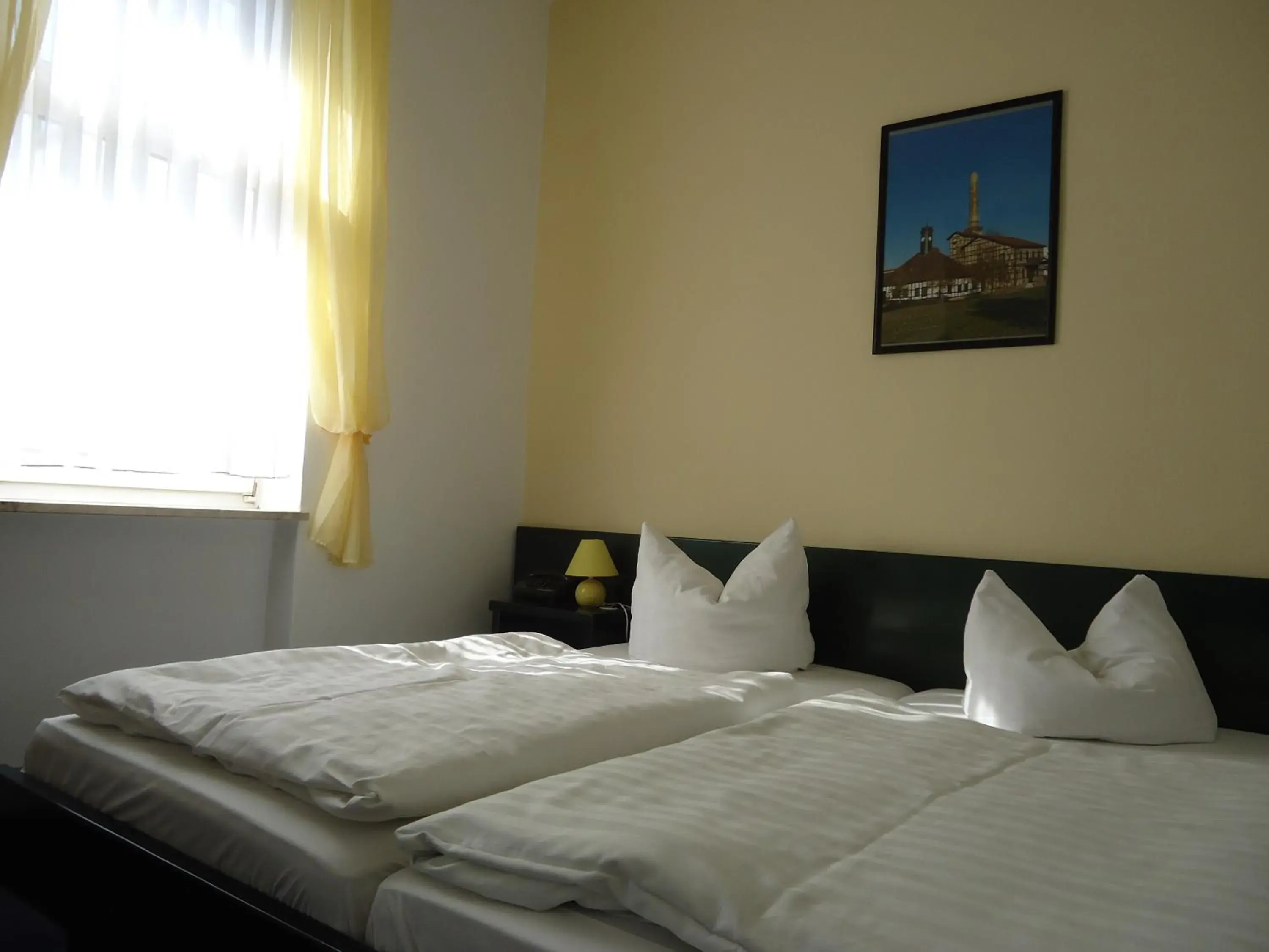 Double Room in Hotel Schweizer Hof Double Room in Hotel Schweizer Hof