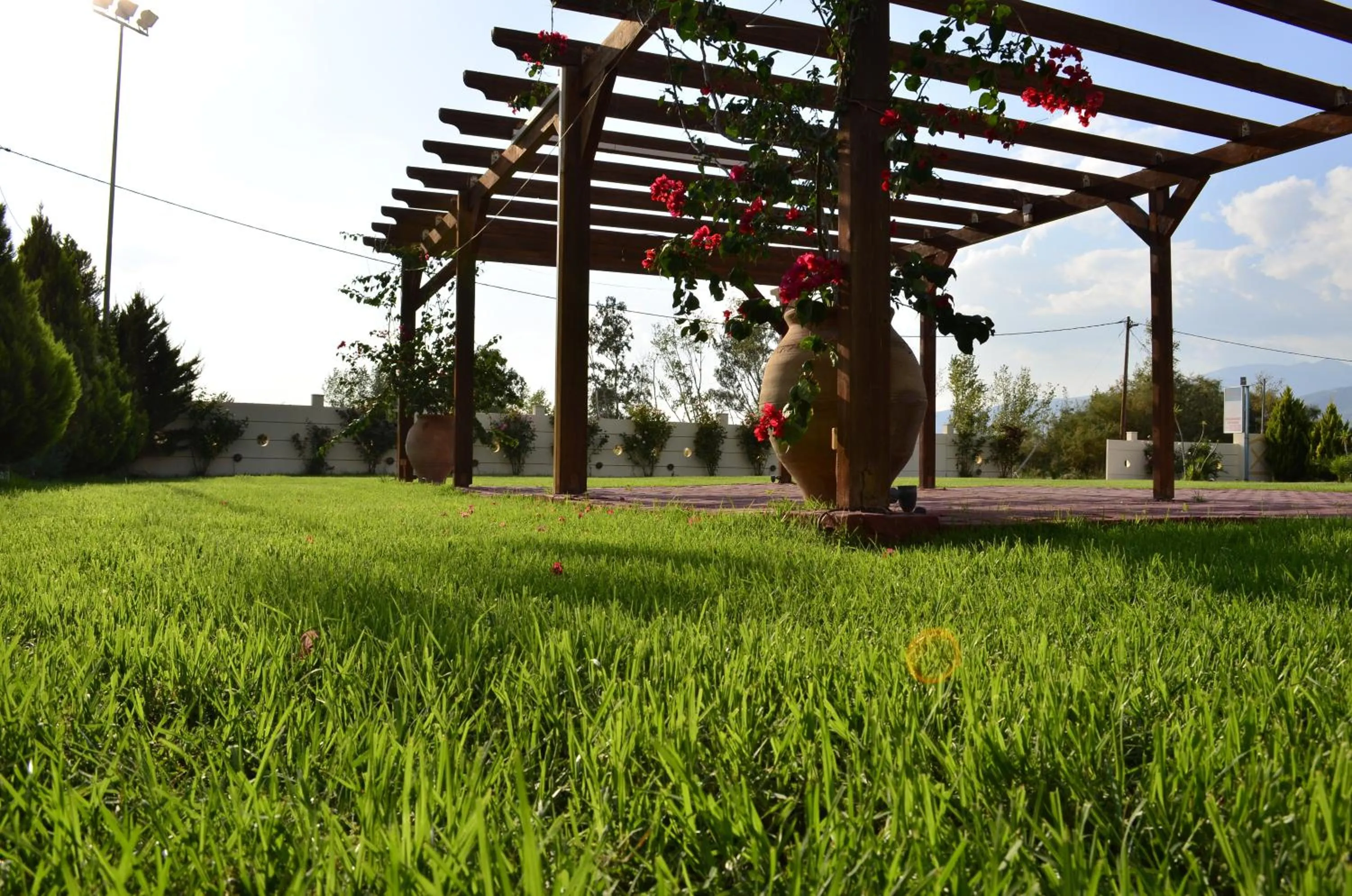 Garden in Ktima Xiliadou