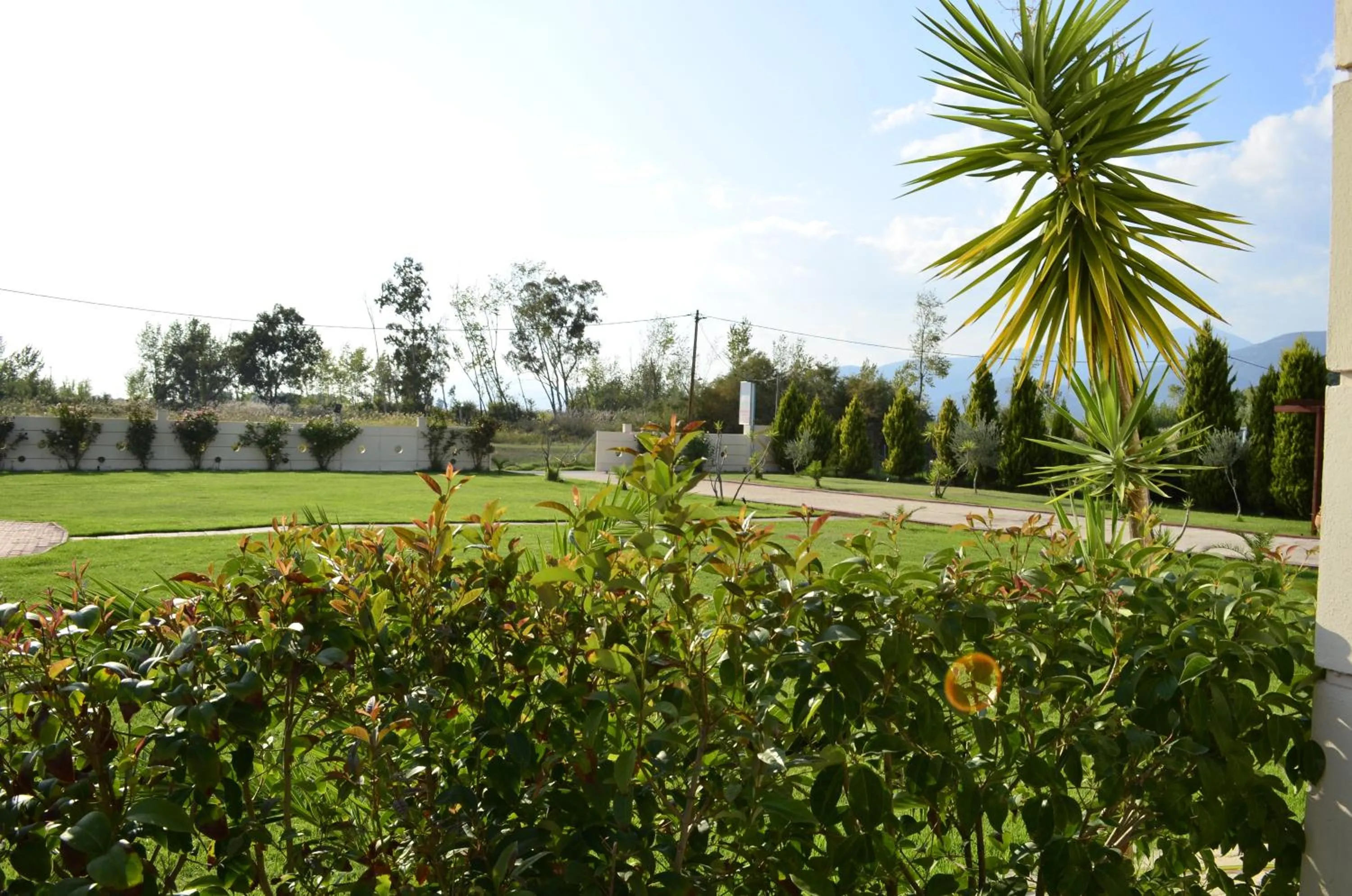 Garden in Ktima Xiliadou
