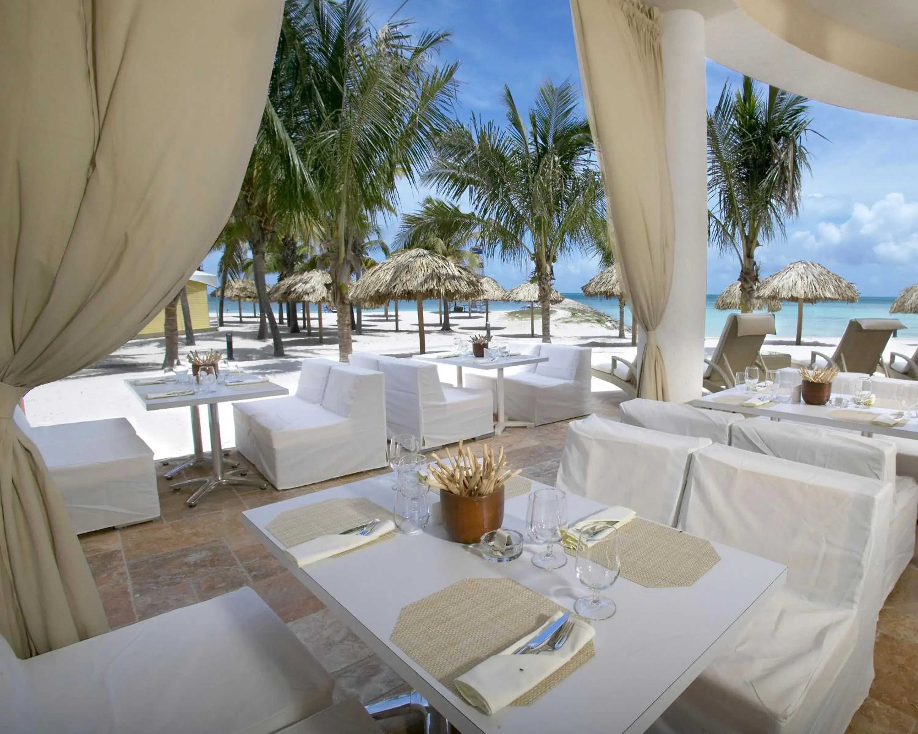 Restaurant/places to eat in Divi Aruba Phoenix Beach Resort Restaurant/places to eat in Divi Aruba Phoenix Beach Resort
