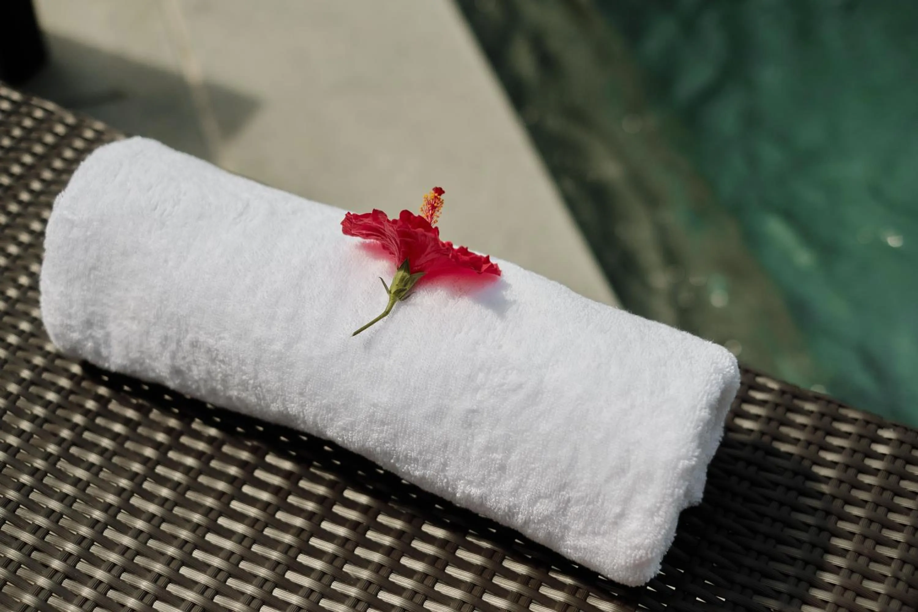 Swimming pool in Villa Wananta