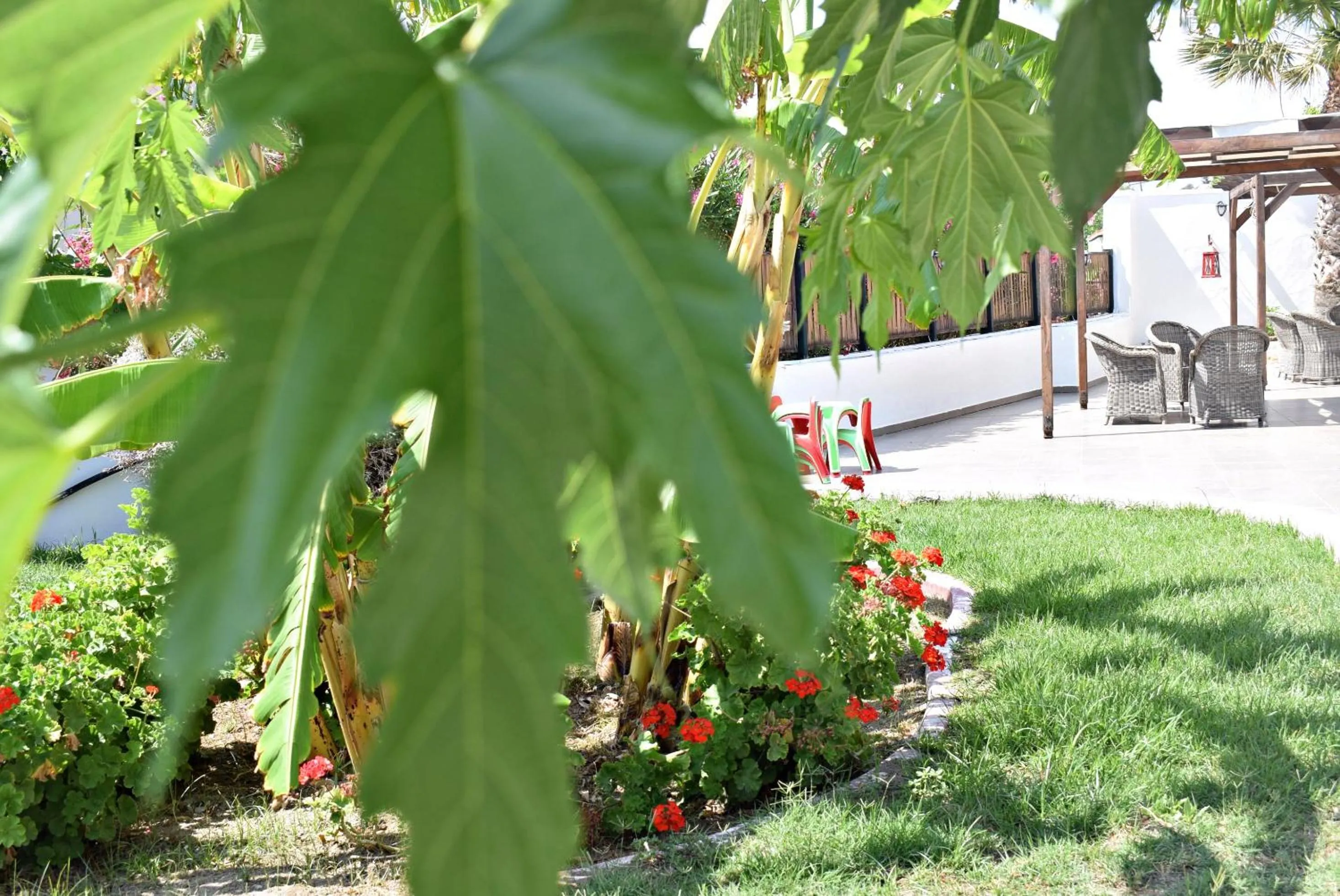 Garden in Sun Beach Lindos