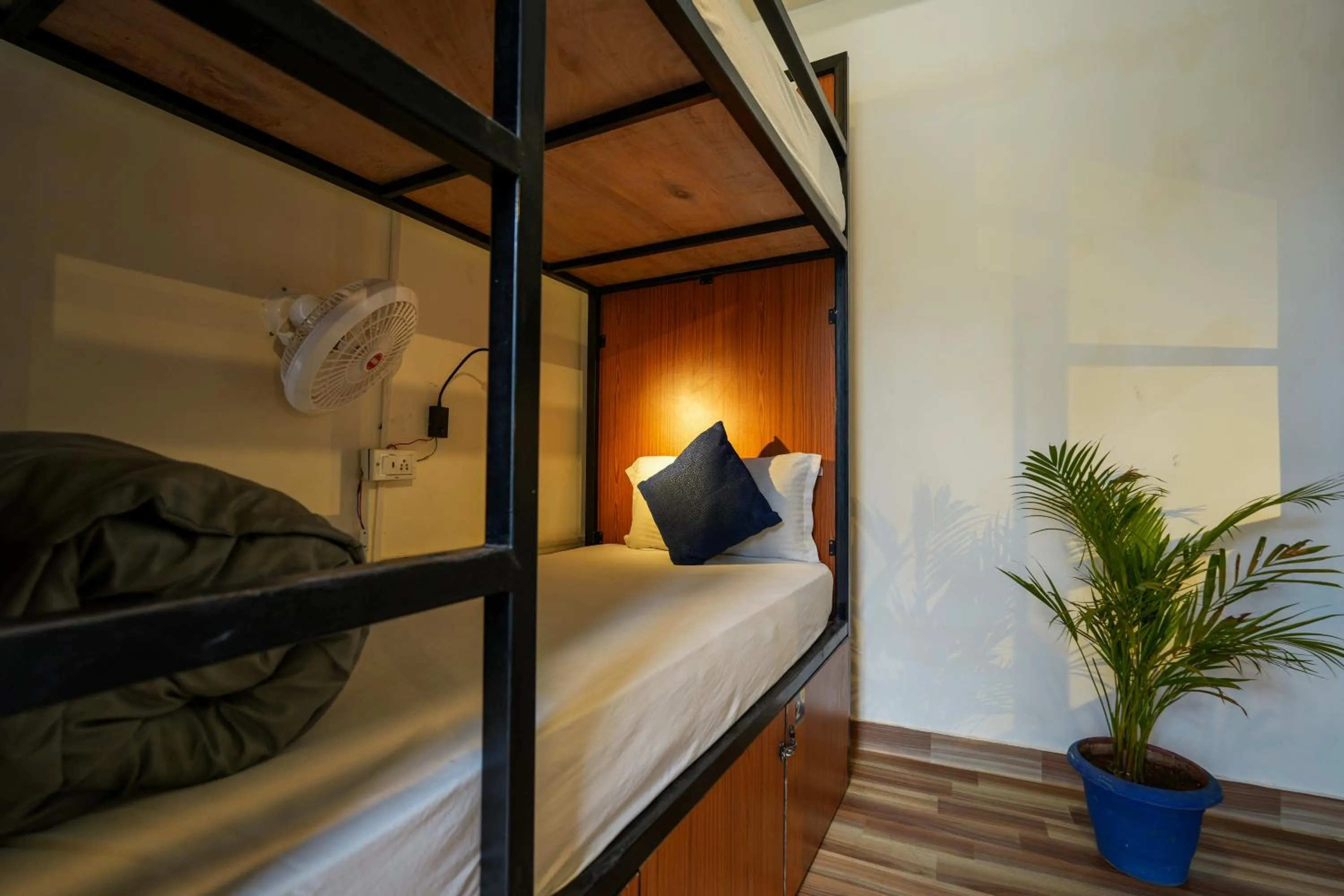 Bed in Shalom Backpackers Udaipur