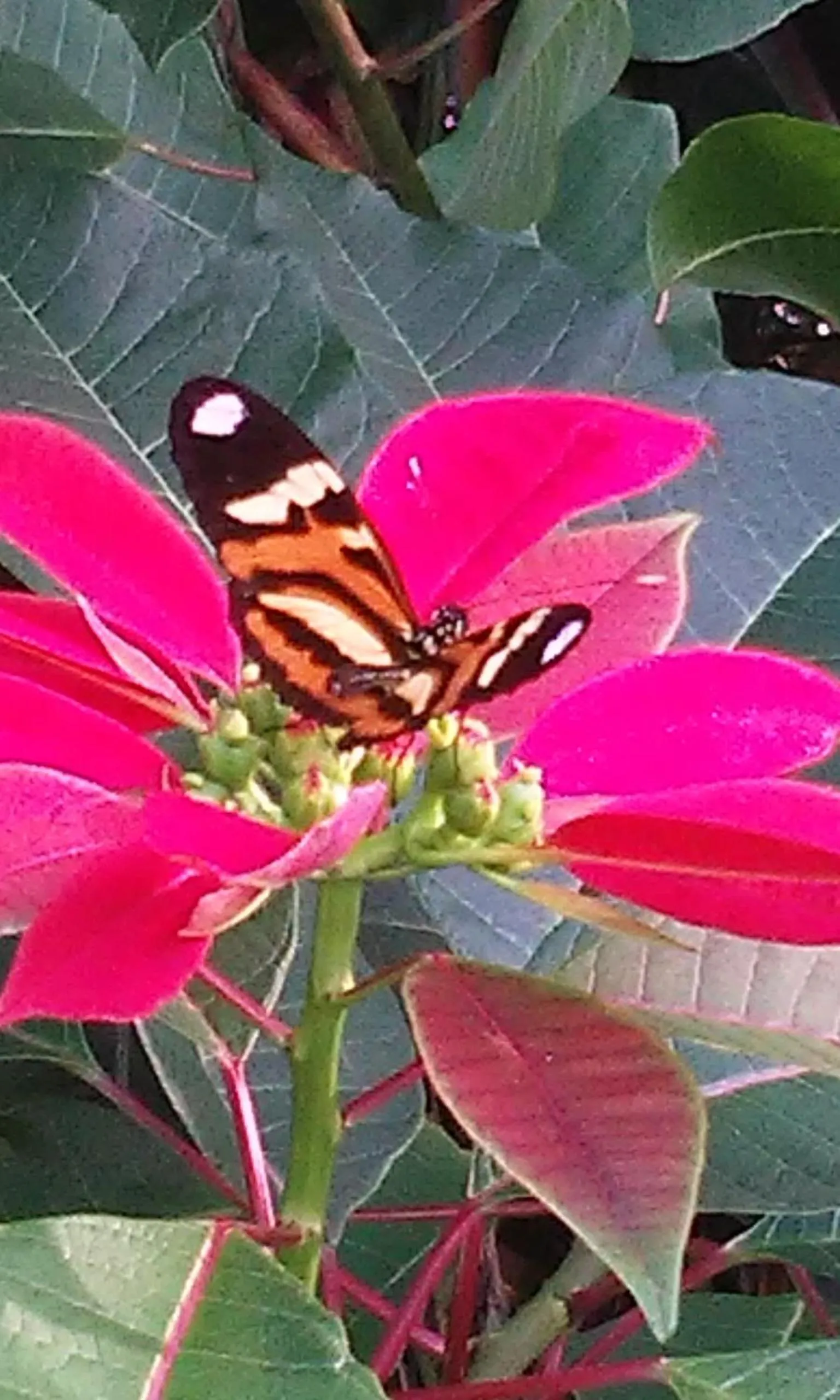 Natural landscape in Pousada Village dos Canyons