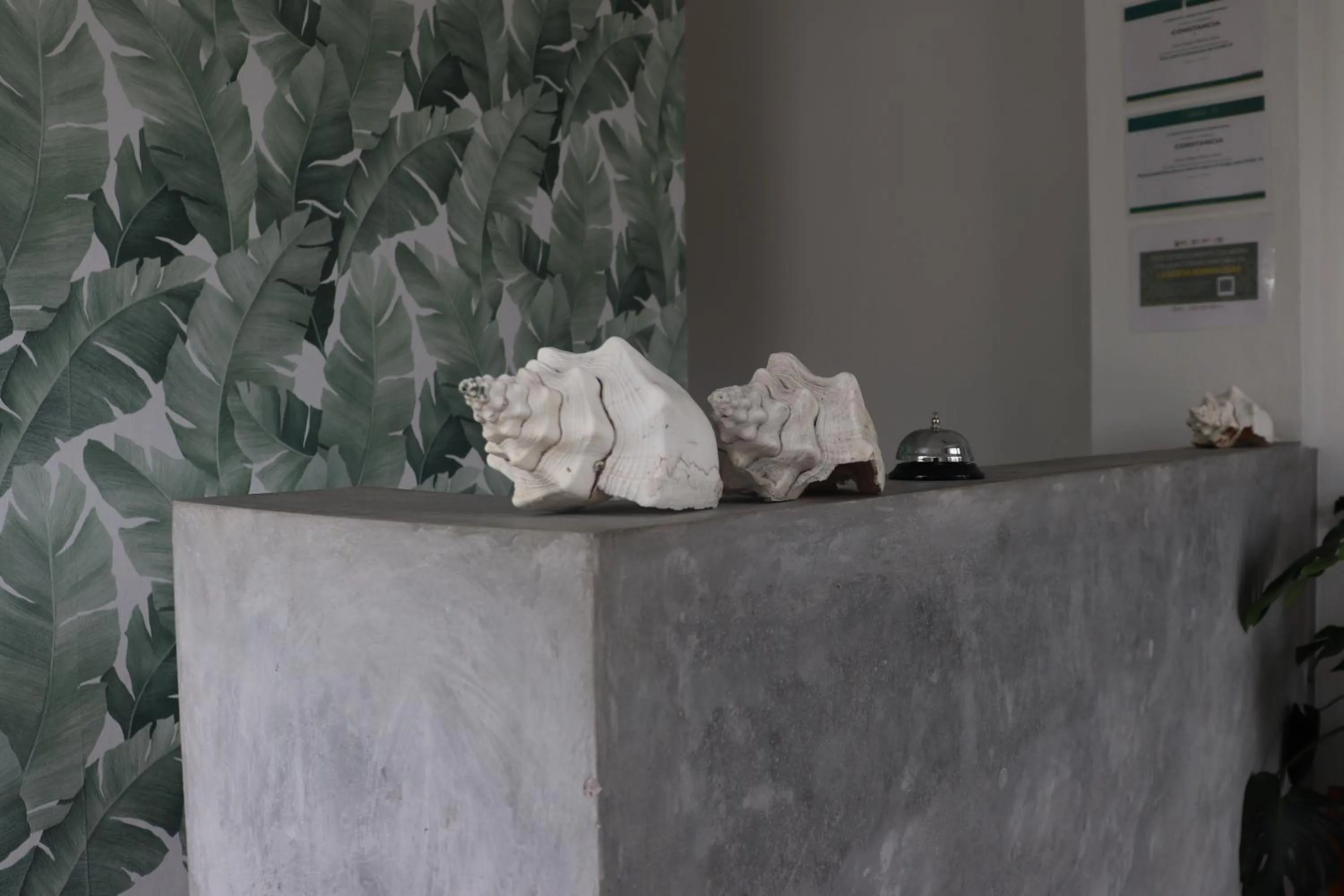 Lobby or reception in Hotel Lunazul In Costa Esmeralda