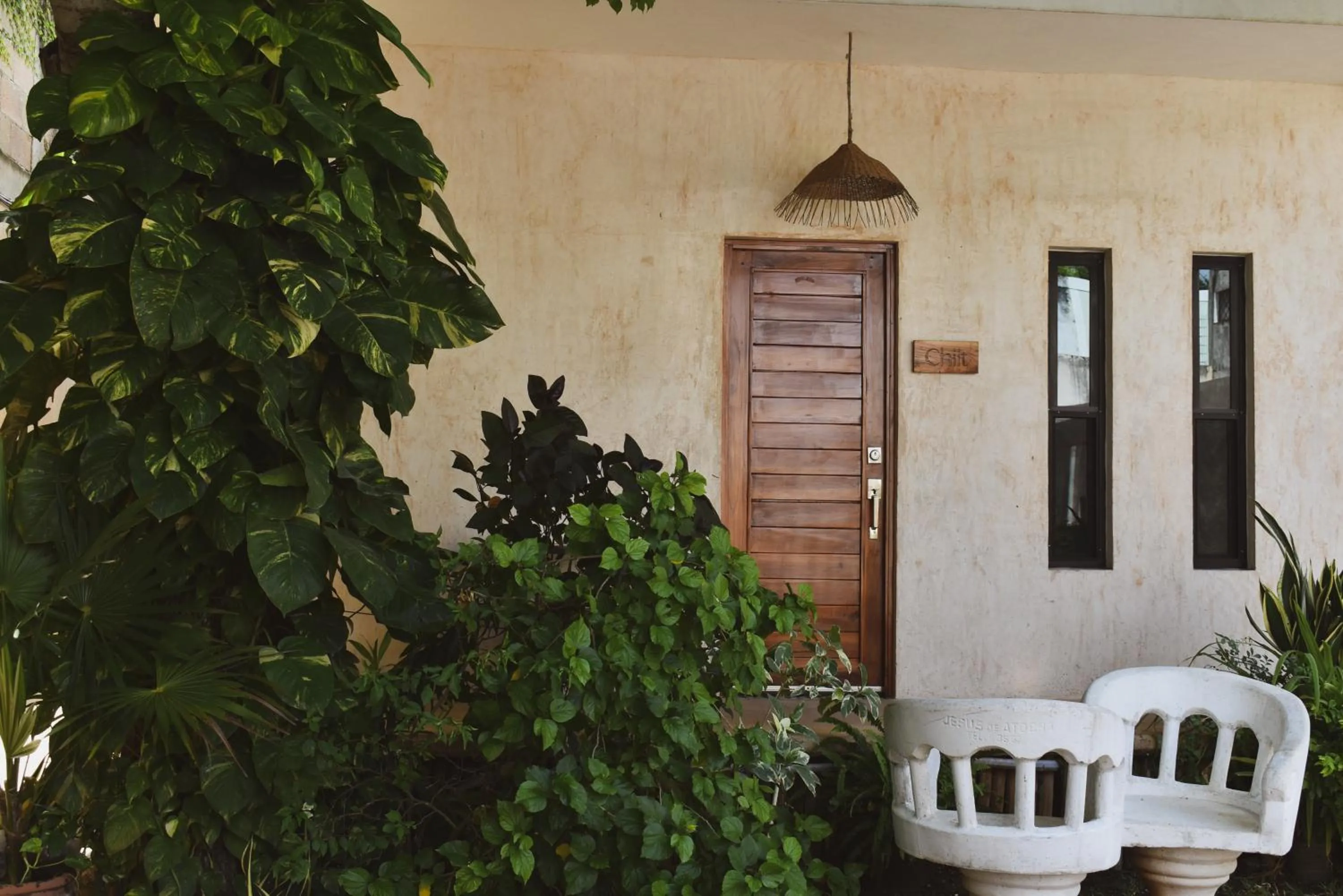 Garden in Hotel Boutique Bugambilias