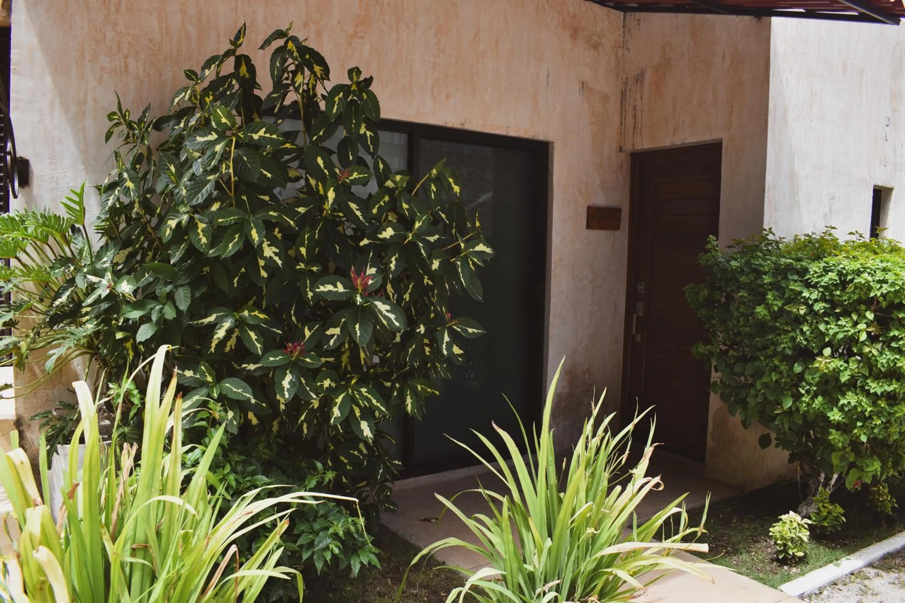 Garden view in Hotel Boutique Bugambilias