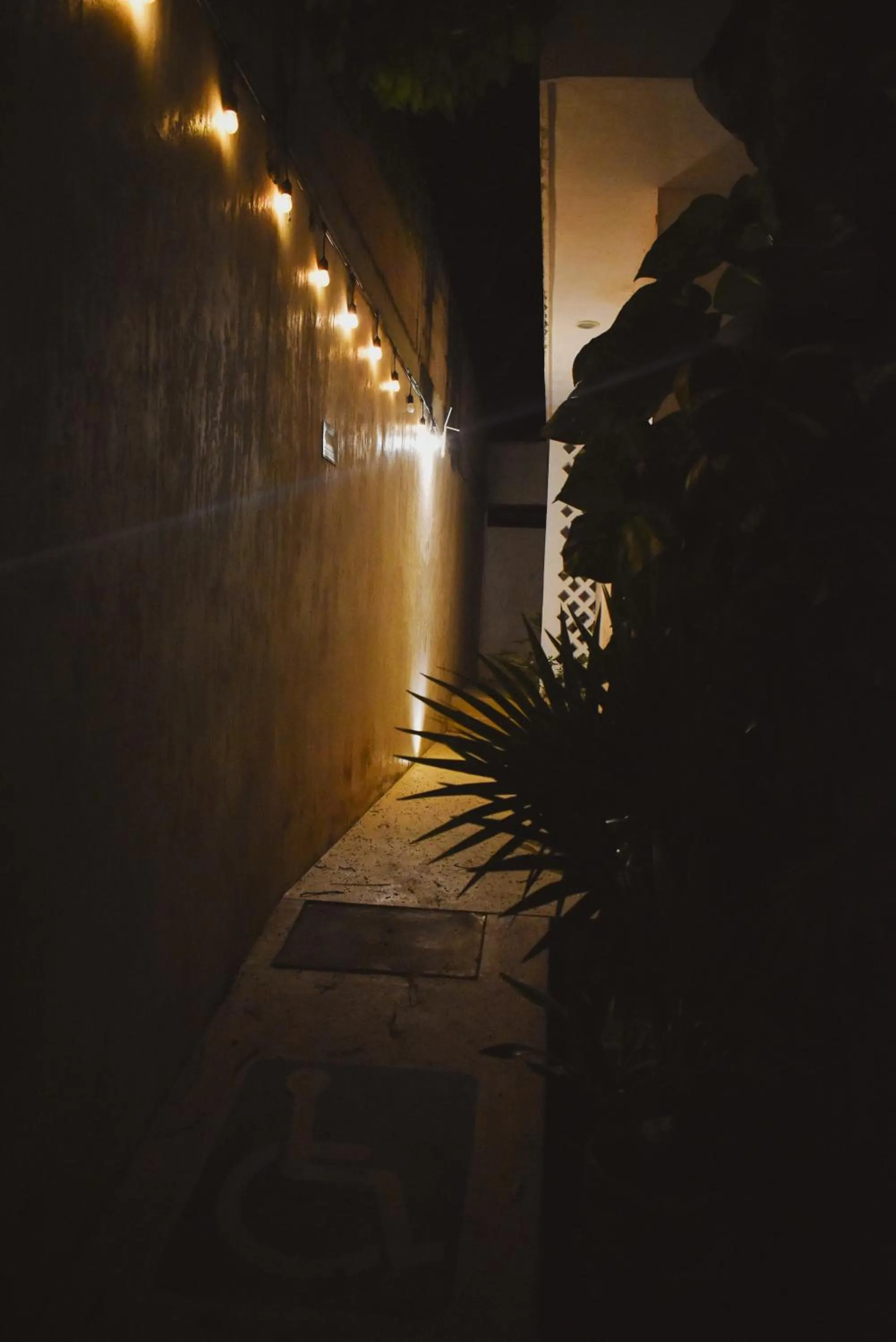 Night in Hotel Boutique Bugambilias