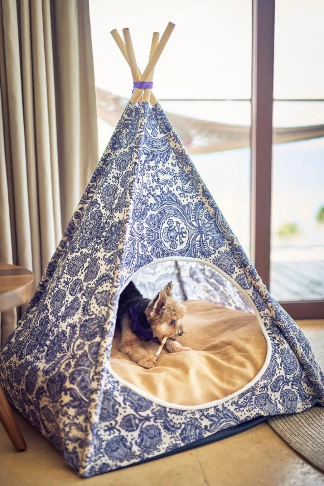 Animals in Hotel Xcaret Arte - All Parks All Fun Inclusive - Adults Only