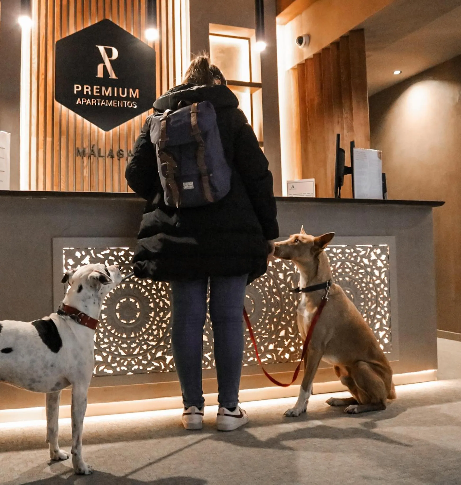 Property building in Apartamentos Málaga Premium - Calle Granada