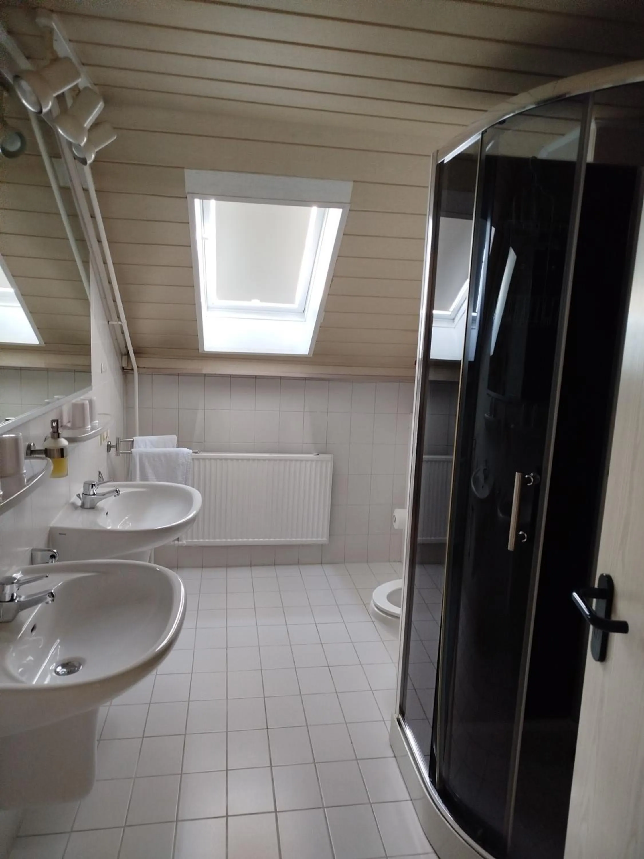 Shower in Hotel Elisenhof