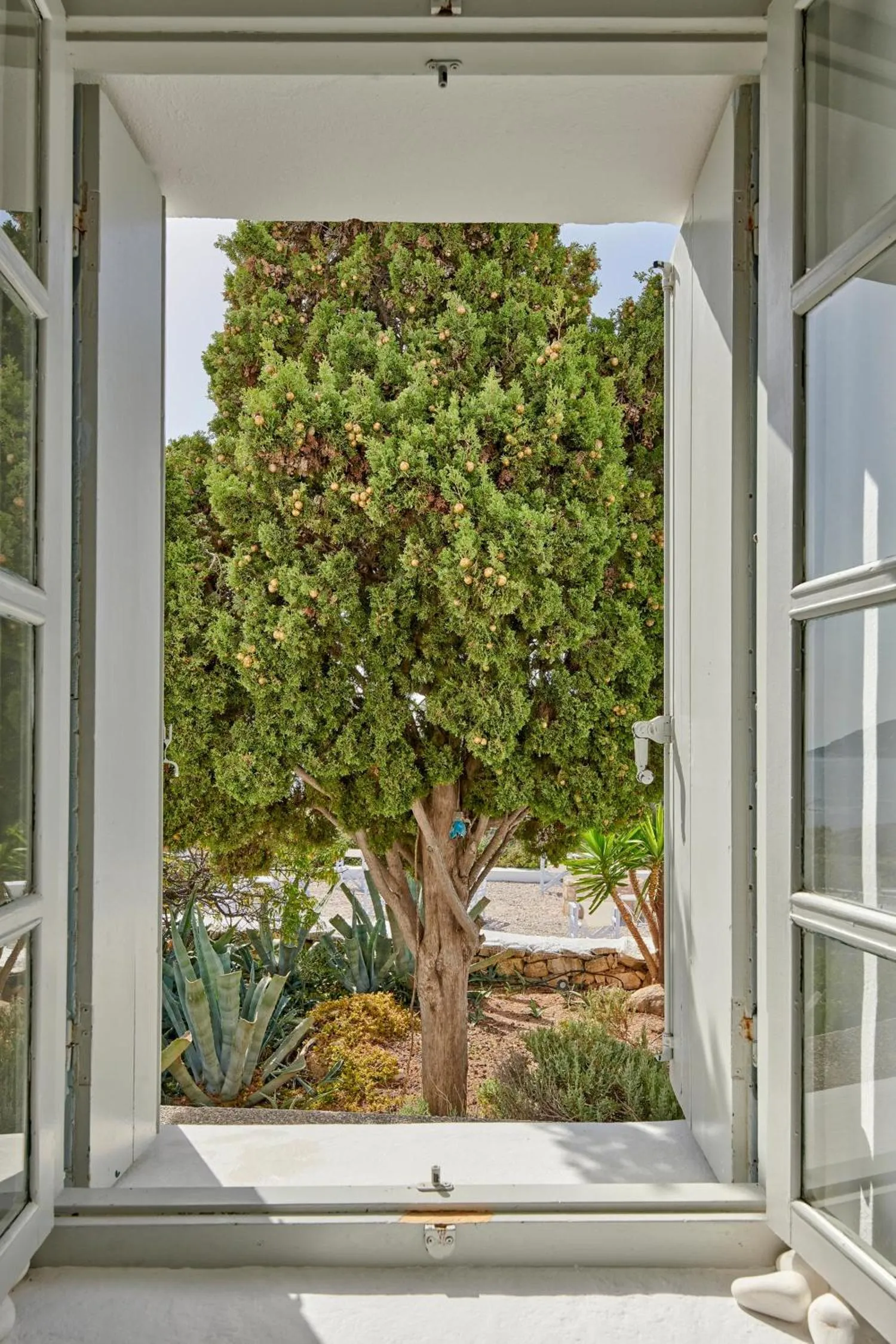 Garden view in The Windmill Kimolos