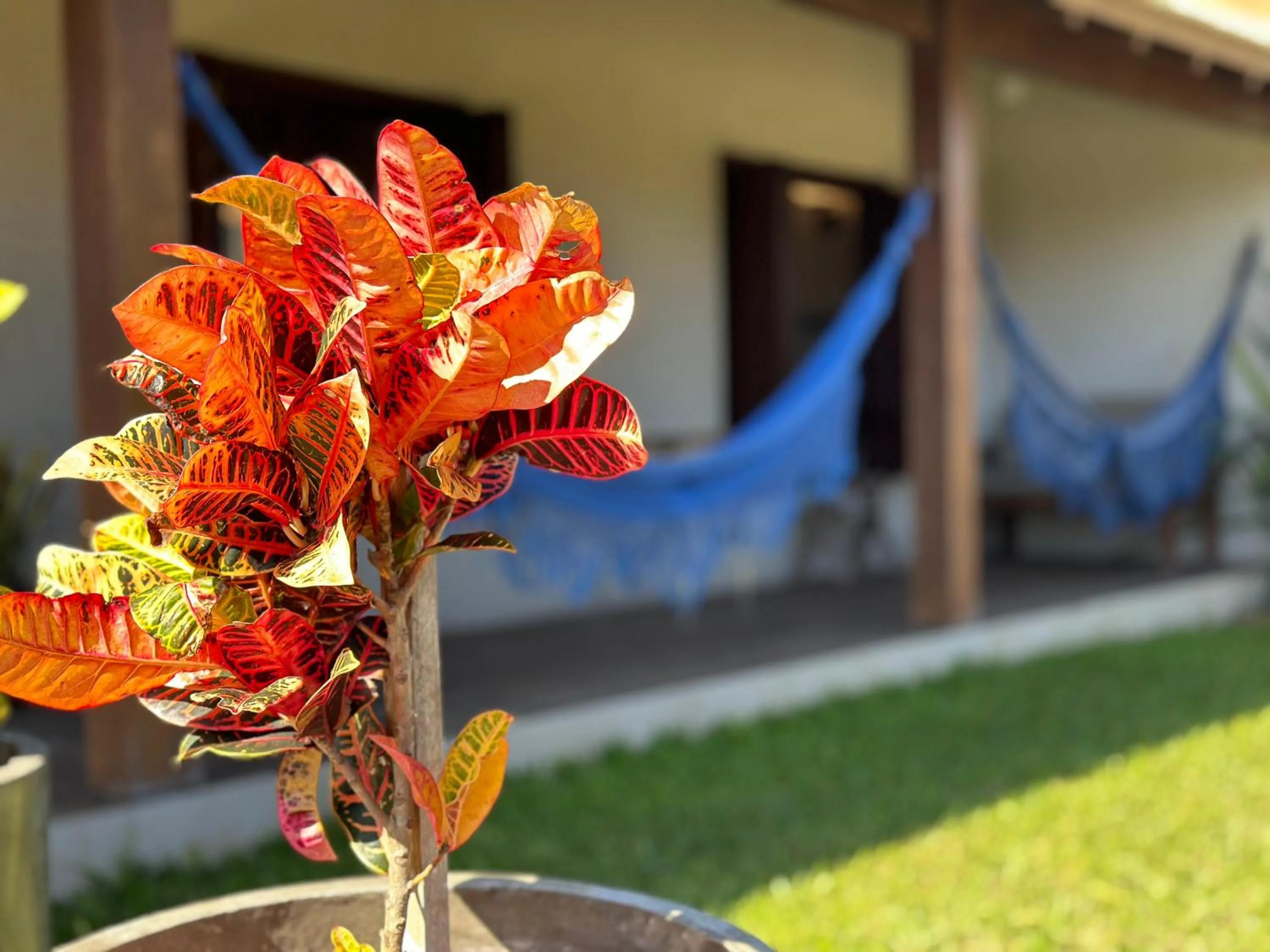 Parador Casa da Praia