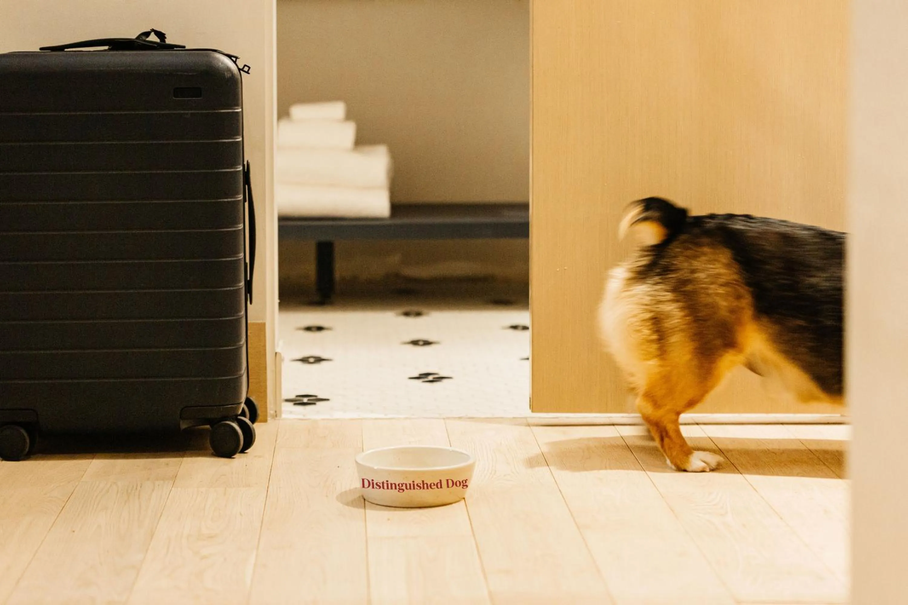 Pets in Jasper Hotel