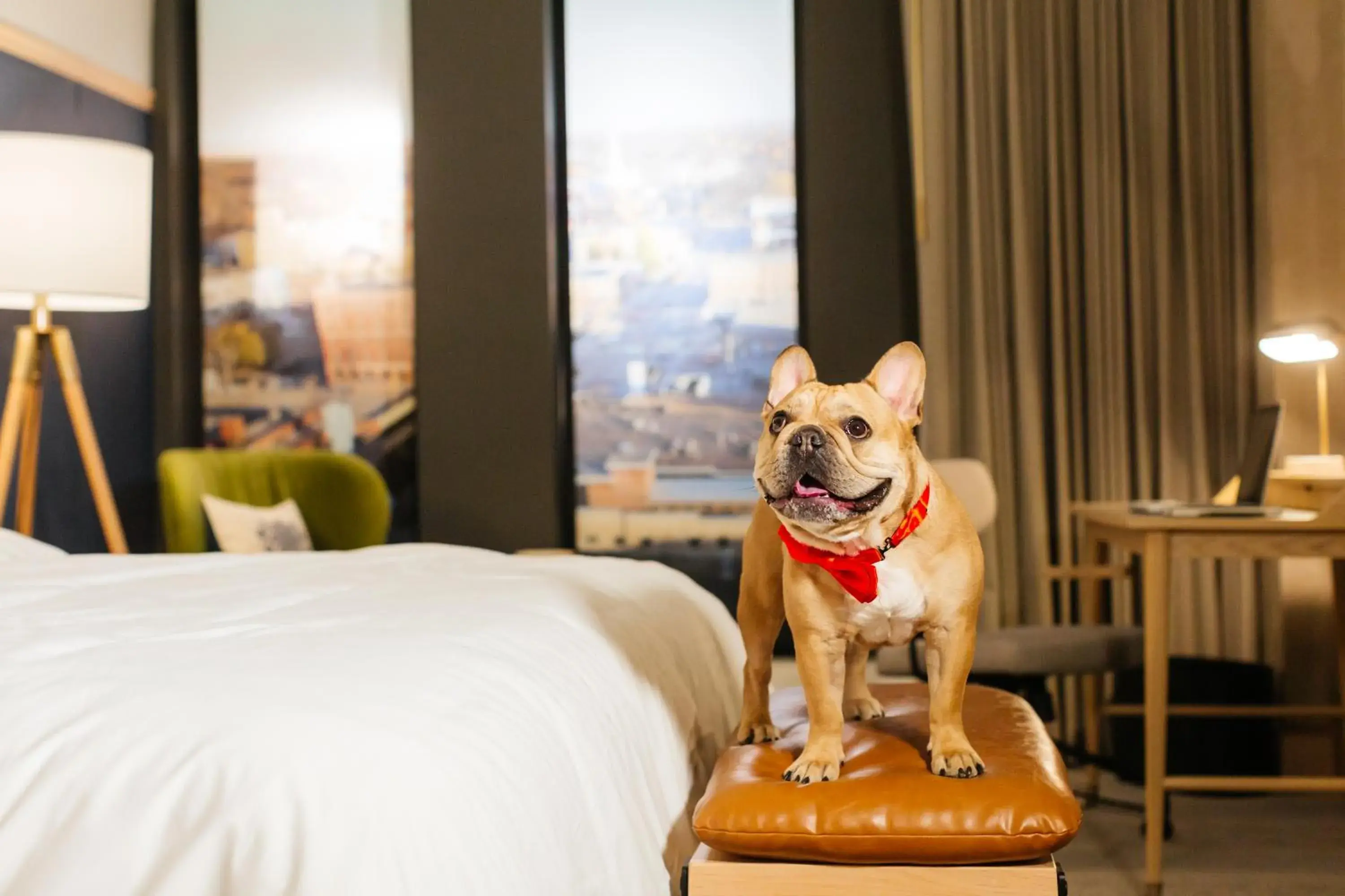 Bedroom, Bed in Jasper Hotel Bedroom, Bed in Jasper Hotel