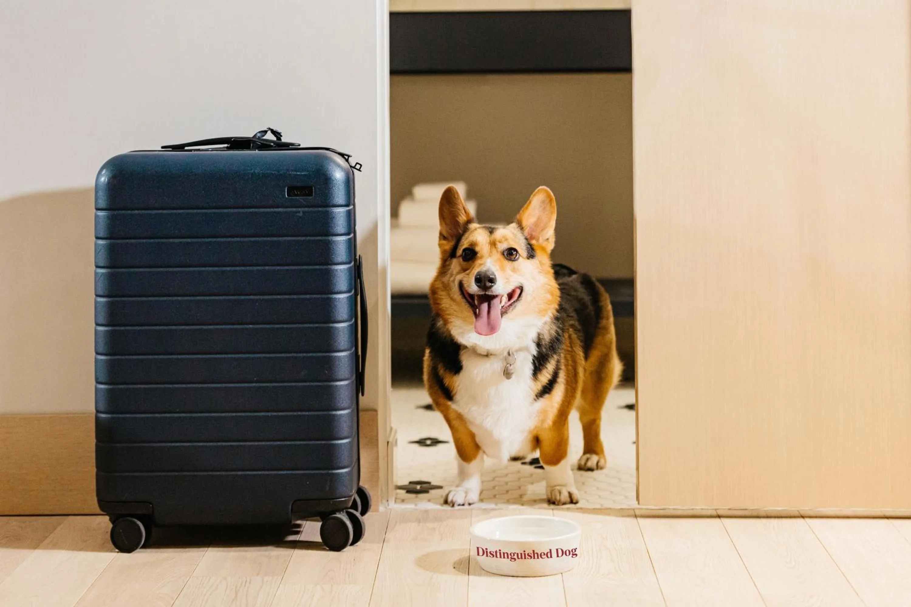 Pets in Jasper Hotel