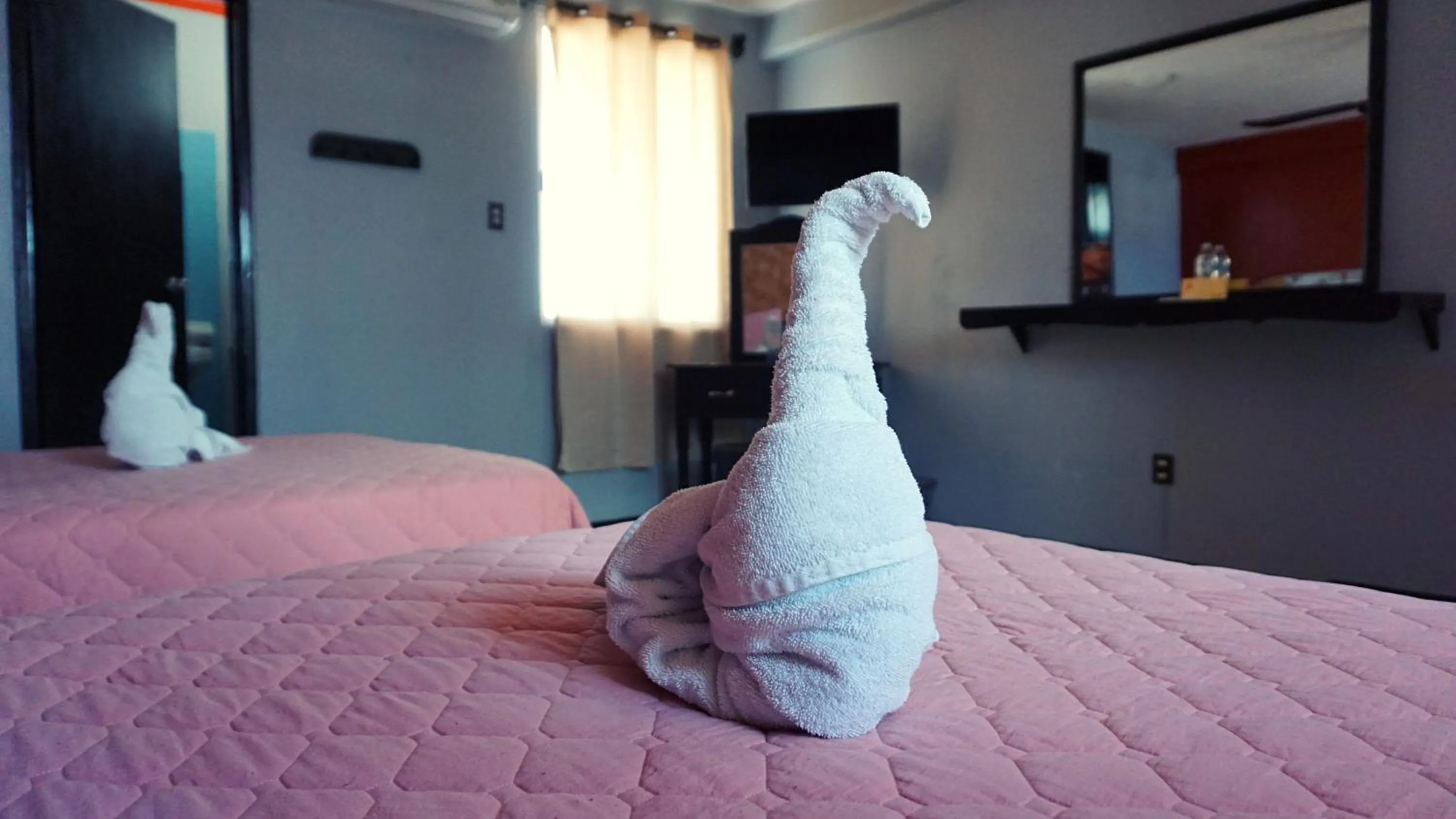 Bed in Hotel Murallas 231