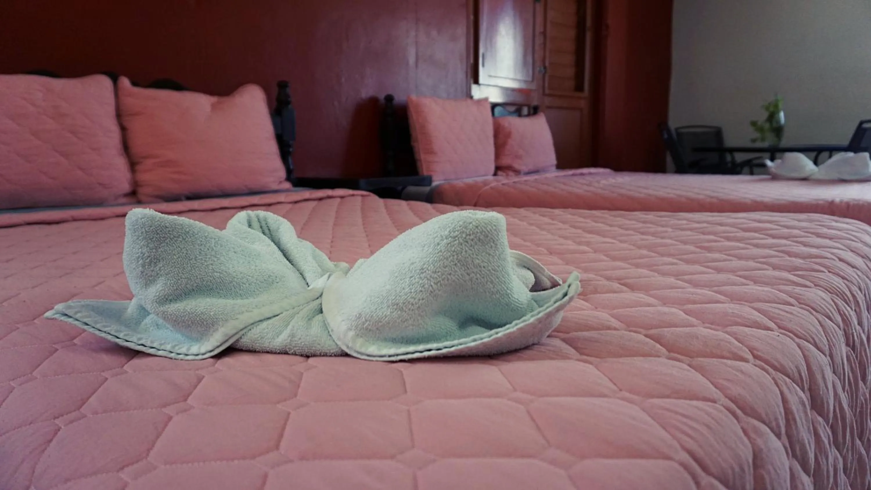 Bed in Hotel Murallas 231