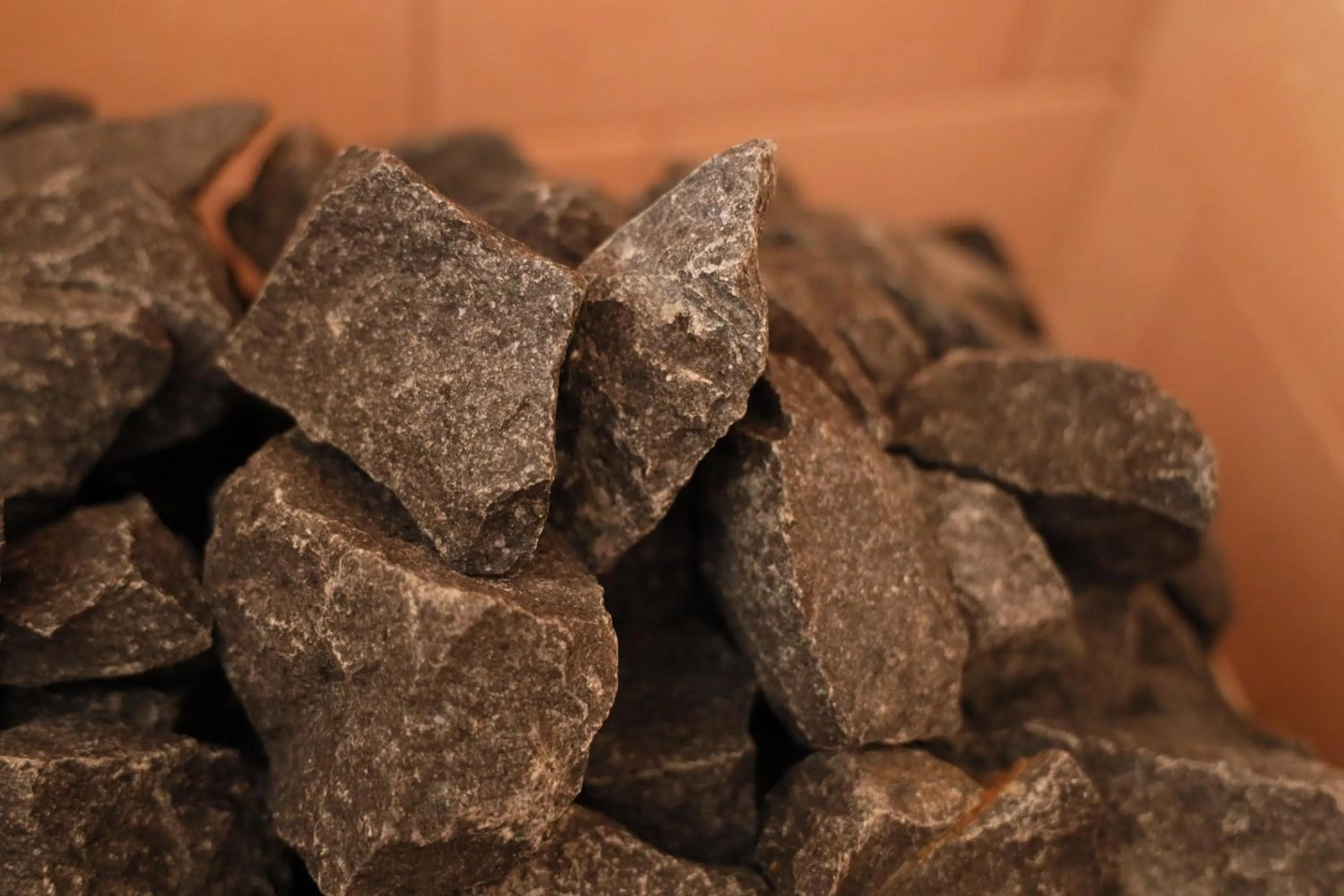 Sauna in Smart Stay SHIZUKU Shinagawa-Oimachi