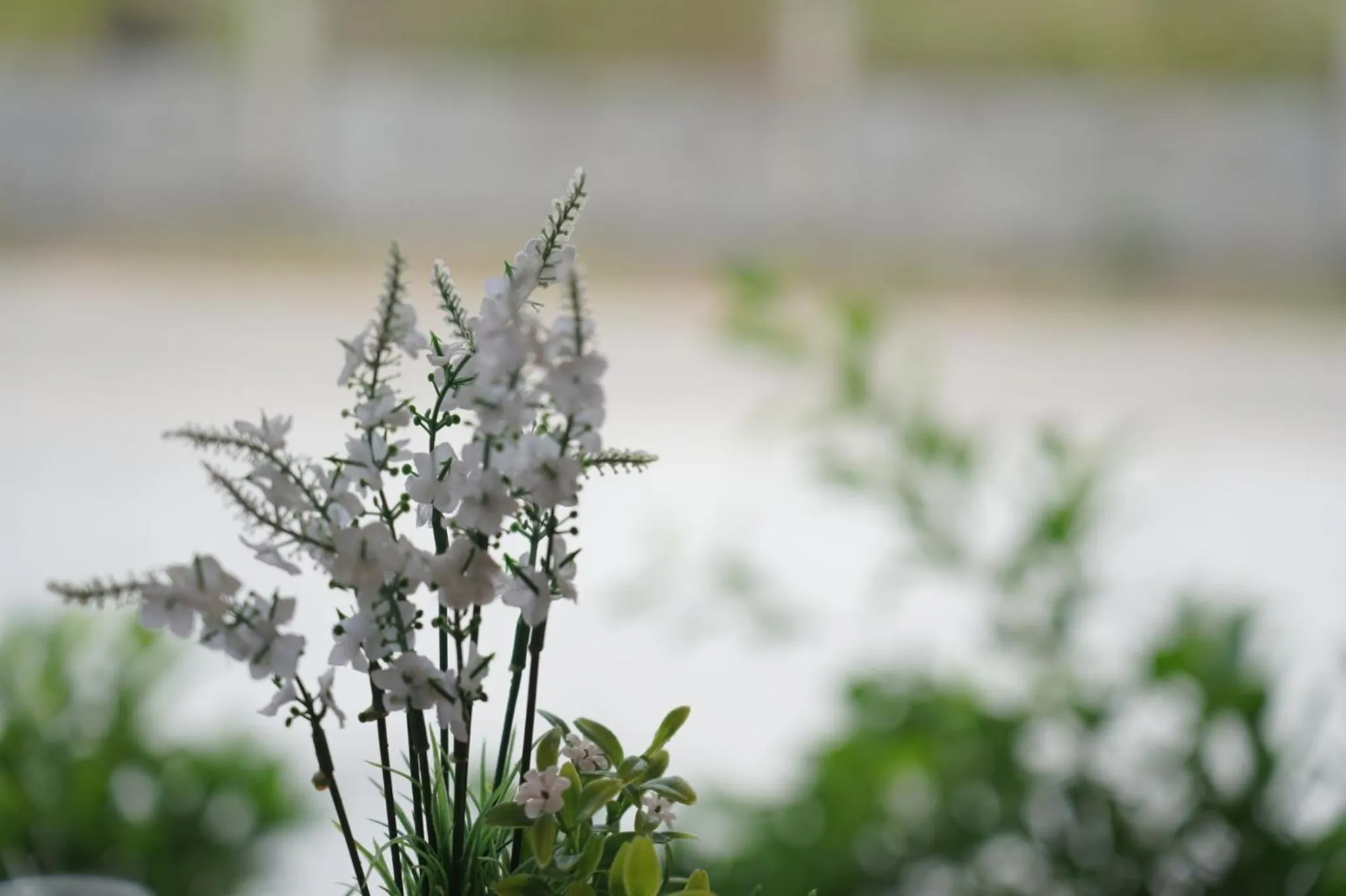 The charlotte smart hotel lopburi