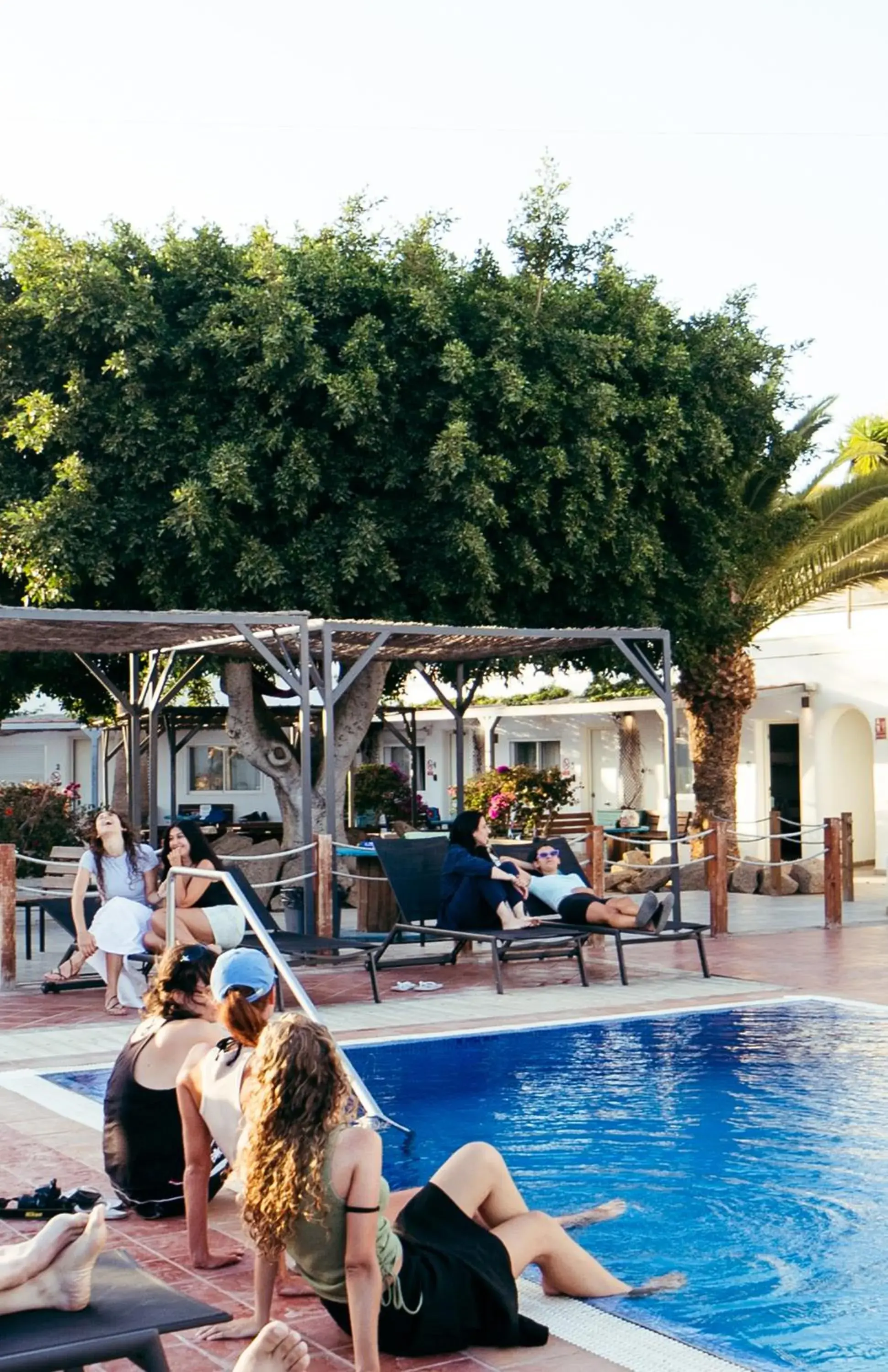 The Tree House Tenerife The Tree House Tenerife