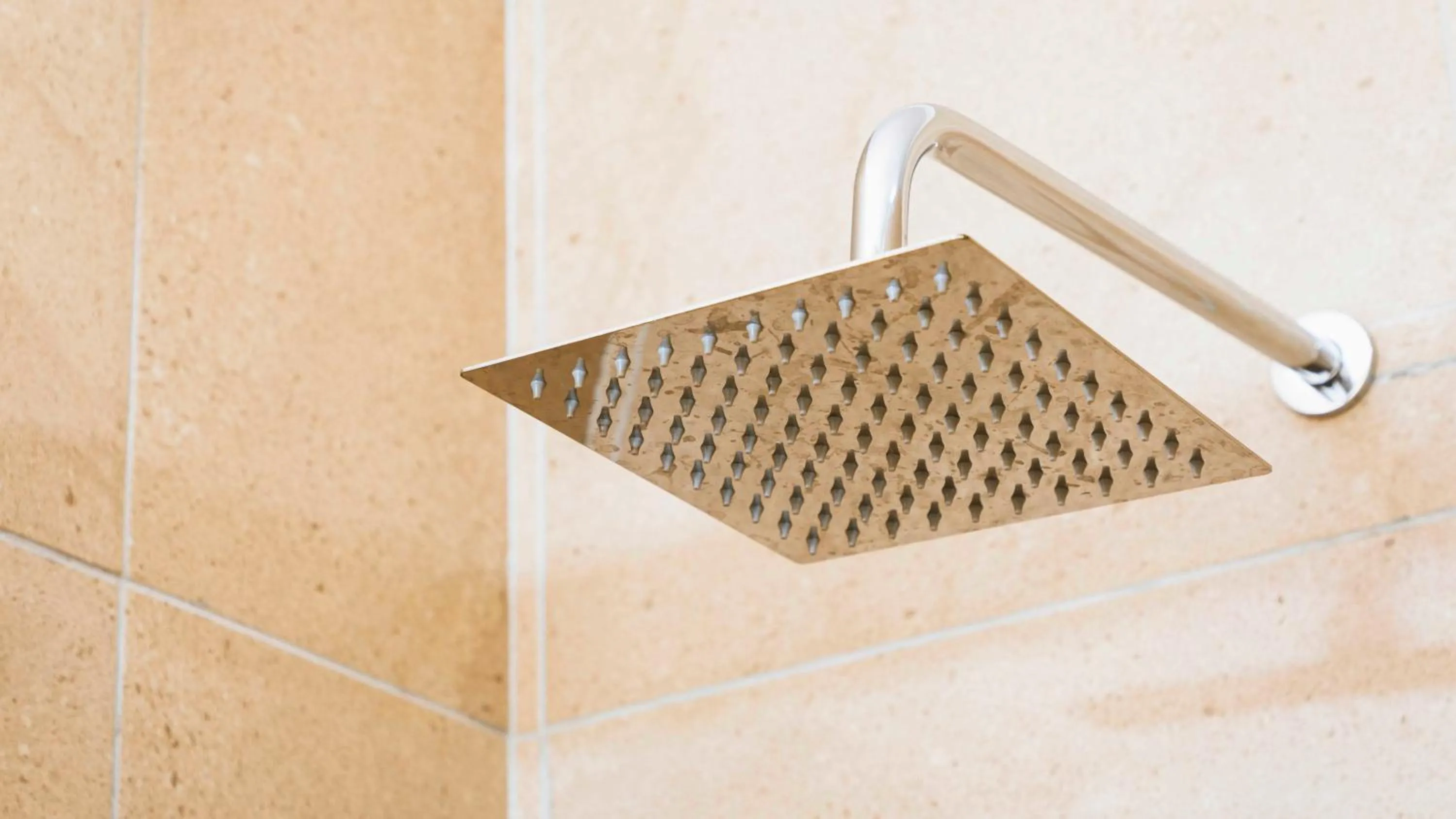 Shower in 103onWallace Self Catering Guest House