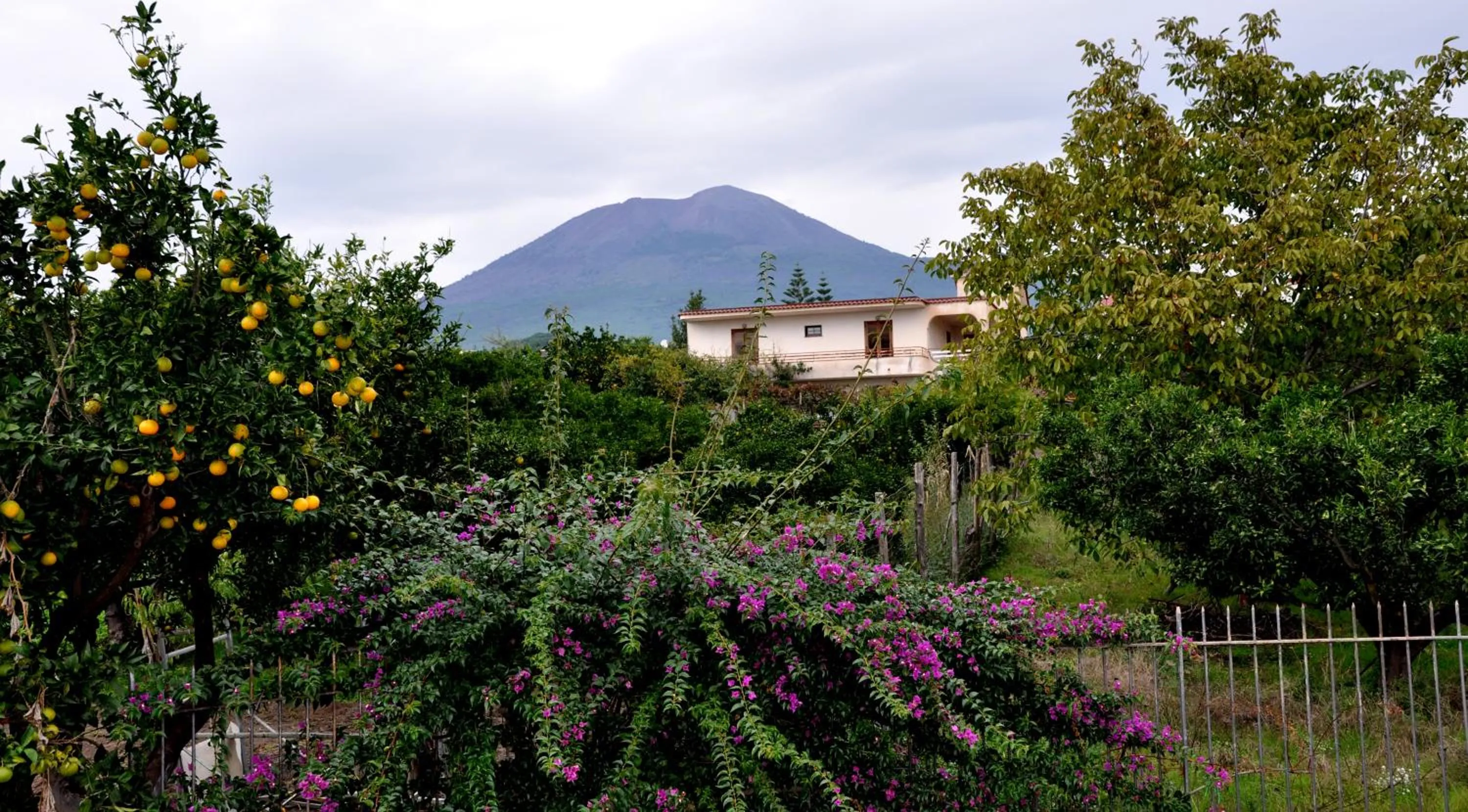Property building in B&B Casa di Donna