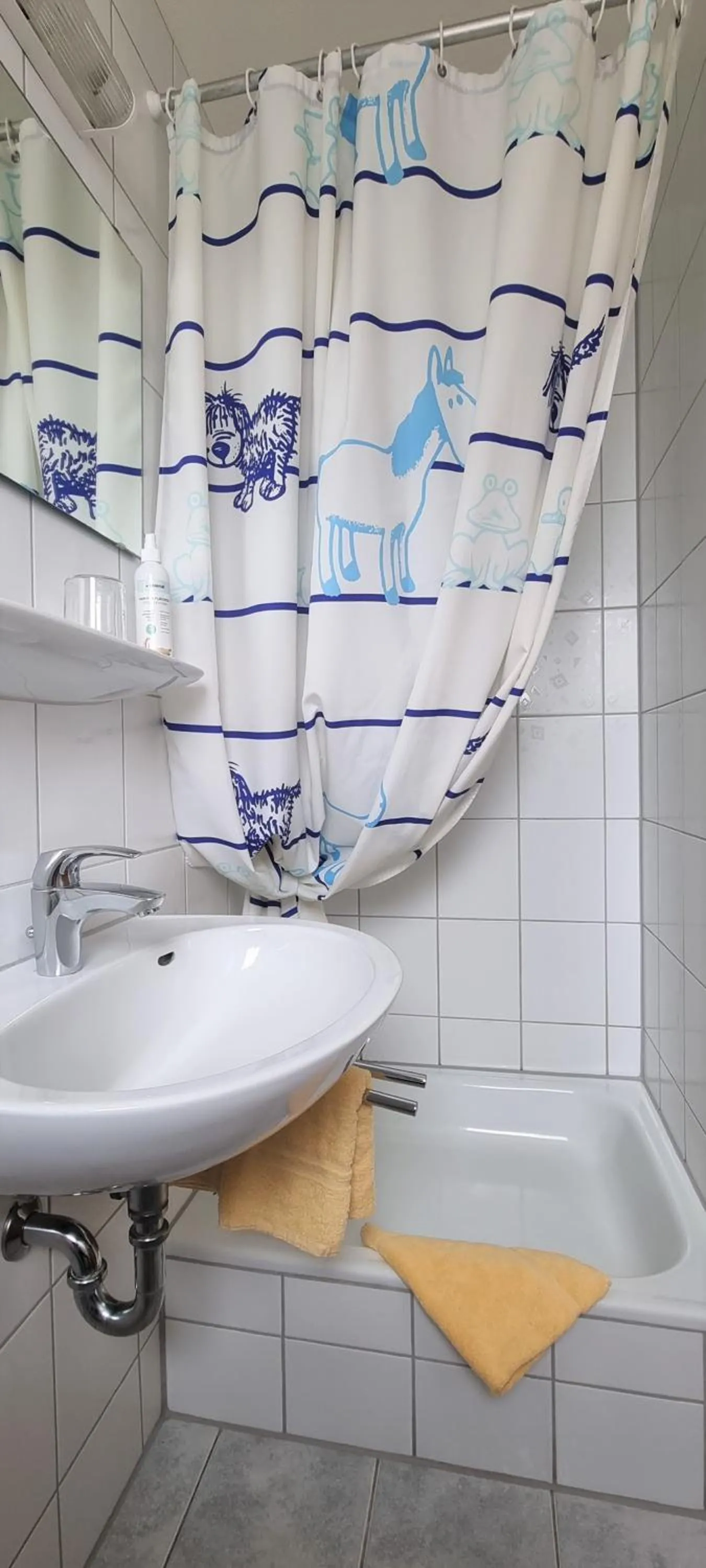 Bathroom in Hotel Seehalde