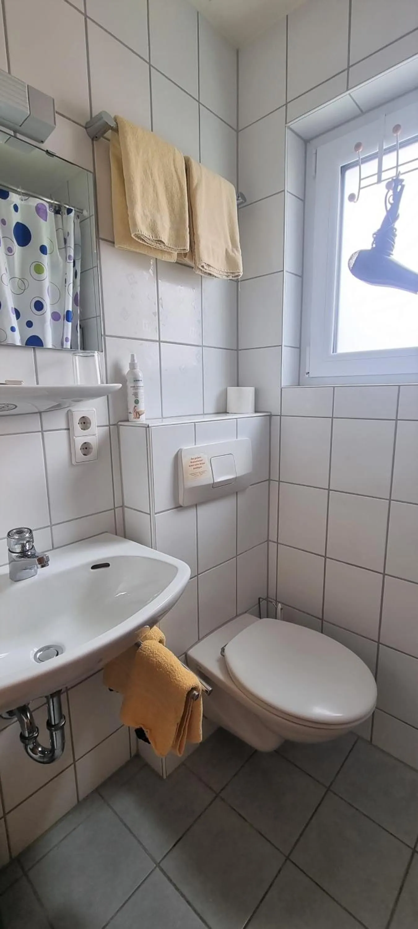 Bathroom in Hotel Seehalde