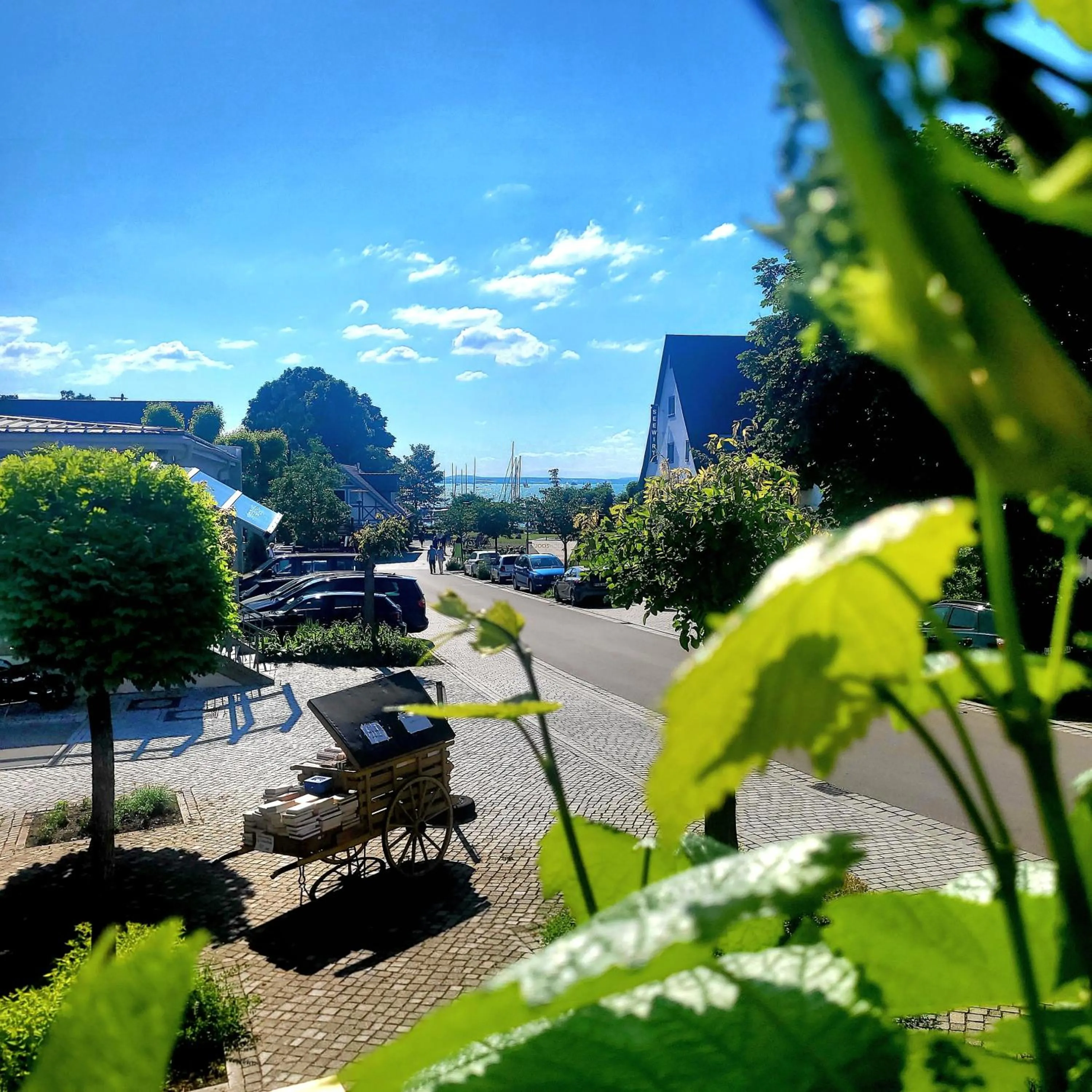 Balcony/Terrace in Hotel Seehalde