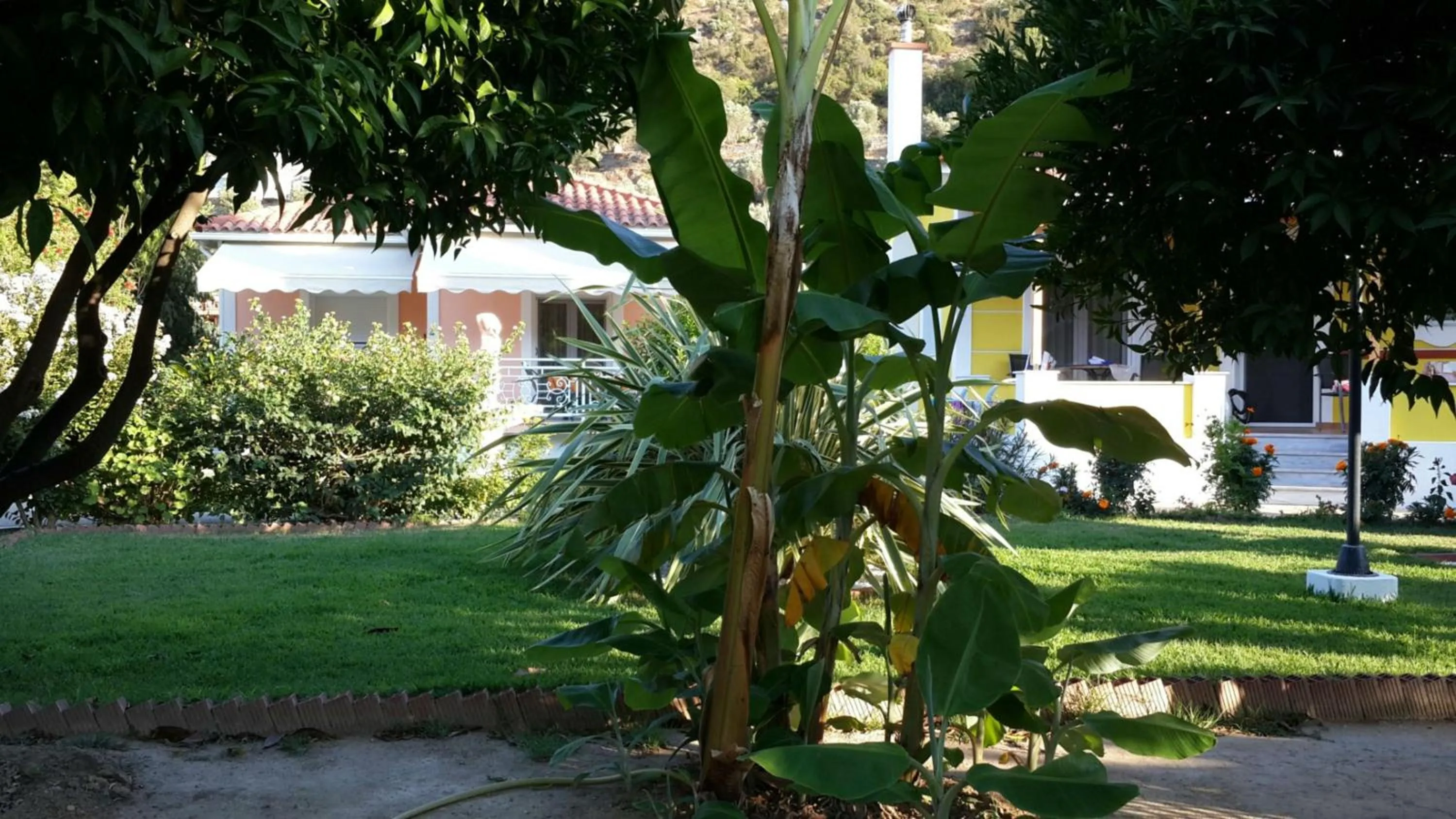 Garden in Elisabeth Villas
