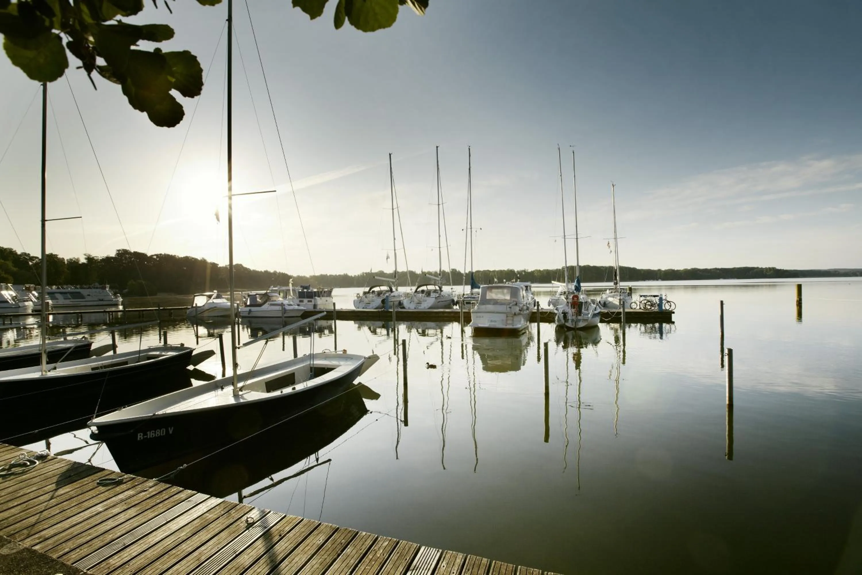 Area and facilities in Hotel Esplanade Resort & Spa - Adults Only