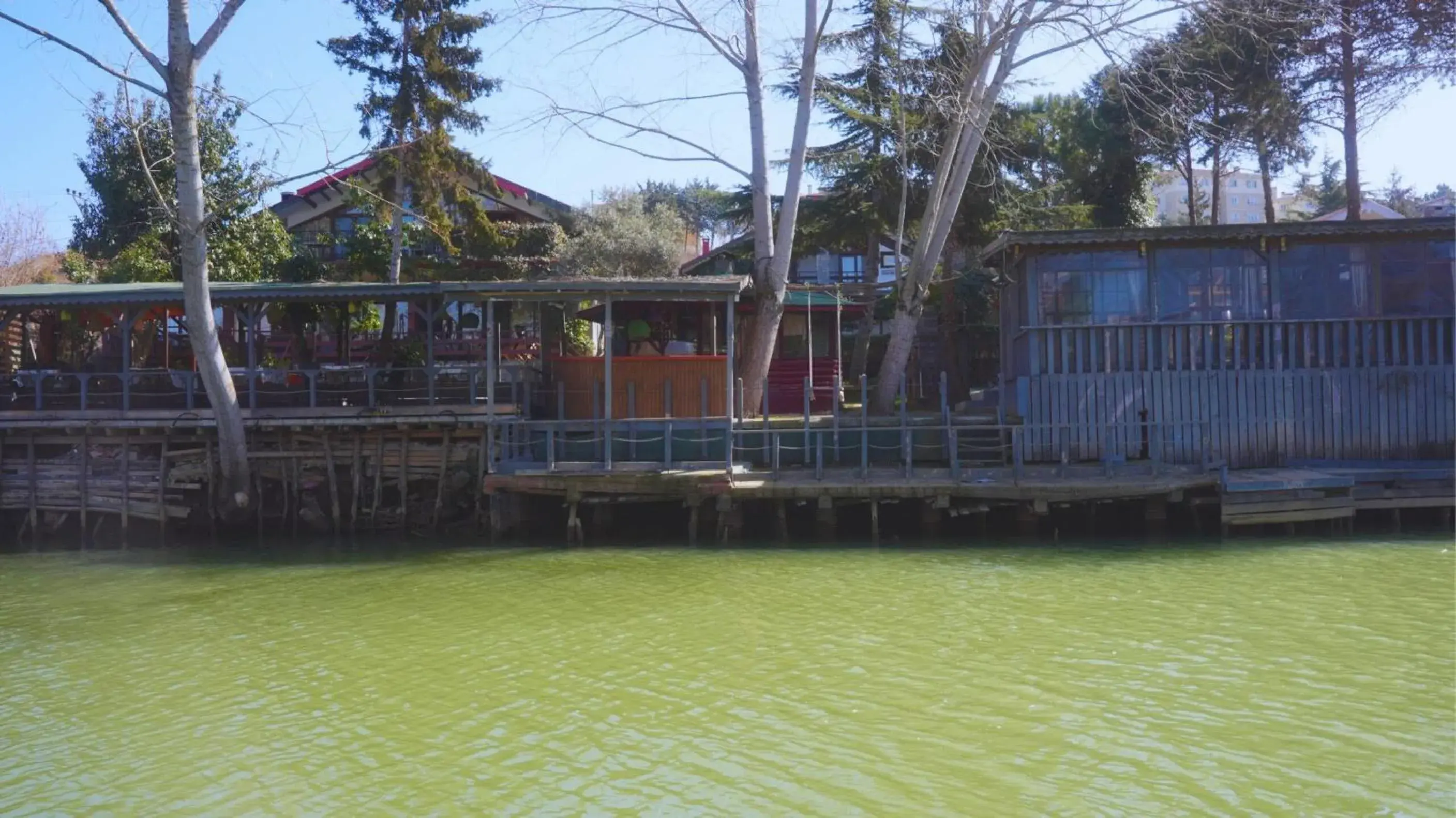 View (from property/room) in Treetops Park Hotel View (from property/room) in Treetops Park Hotel