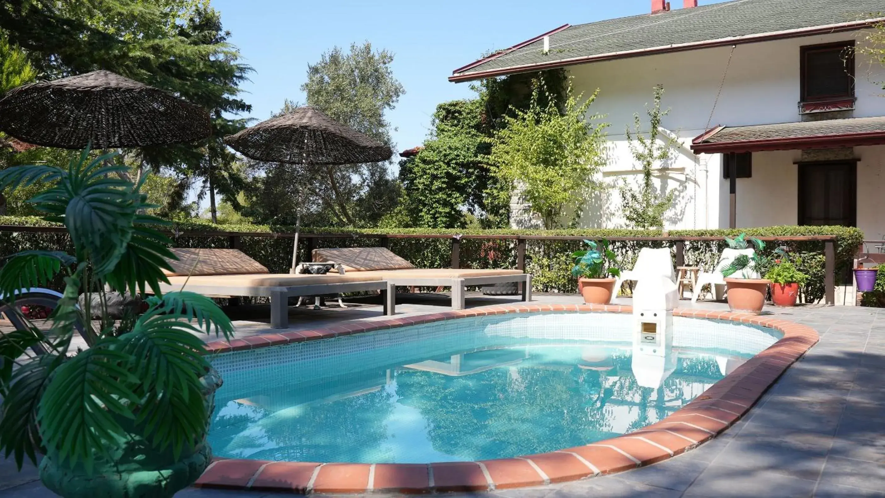 Swimming pool in Treetops Park Hotel Swimming pool in Treetops Park Hotel