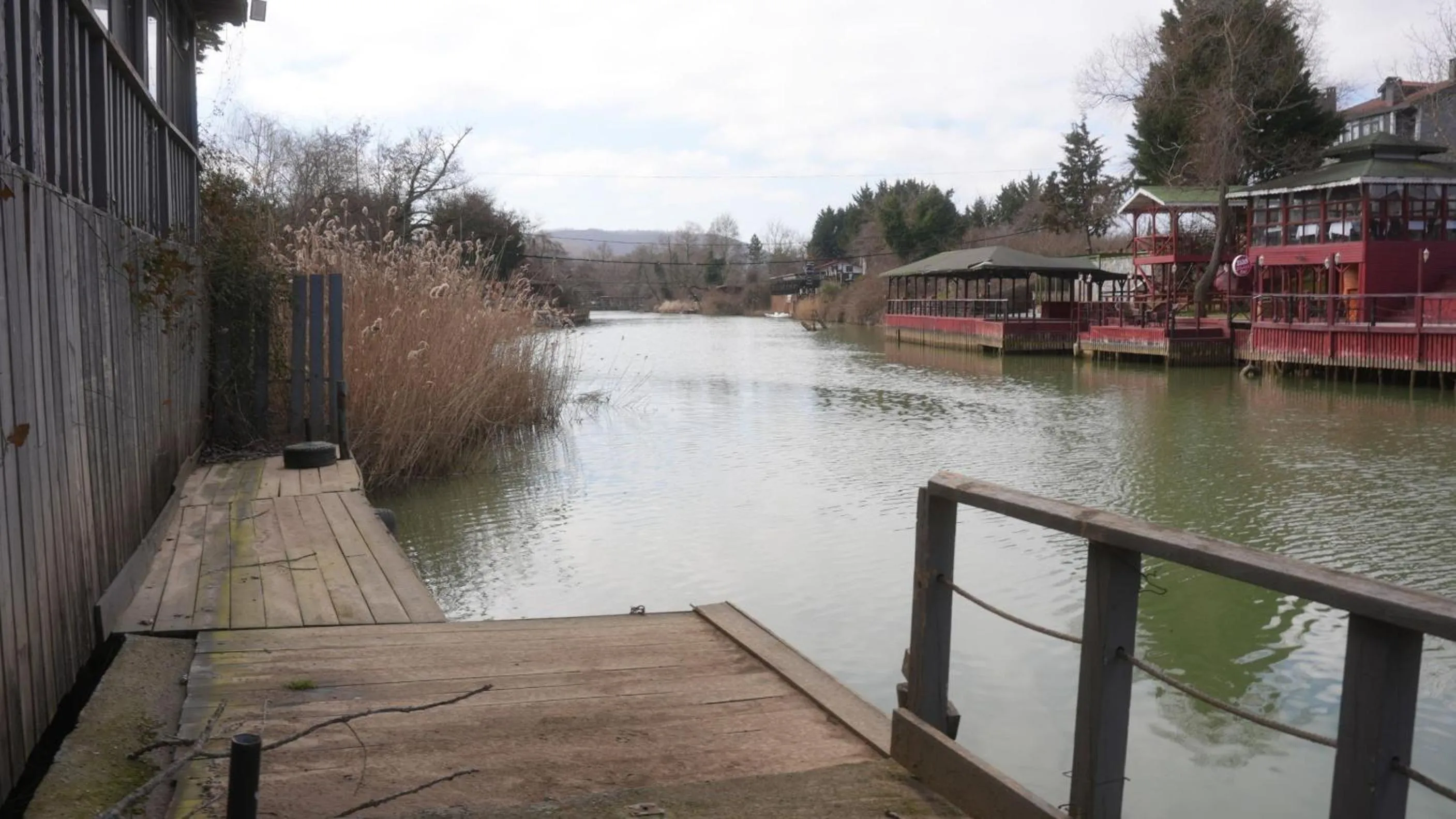 View (from property/room) in Treetops Park Hotel