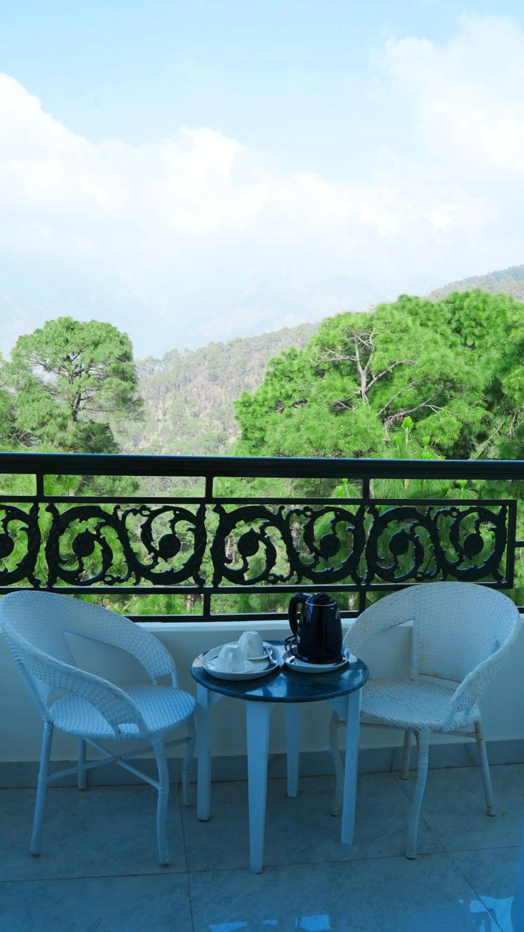 Mountain view in Hotel Saheb's Castle - Best Mountain View & Jacuzzi Suites, McLeodganj