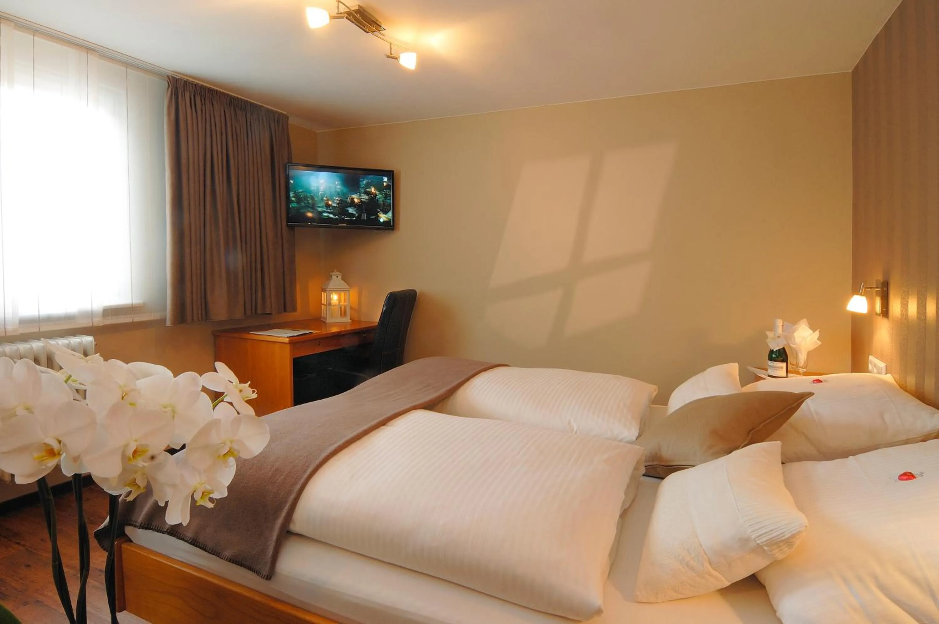 Double Room - single occupancy in Gasthaus zum Ochsen