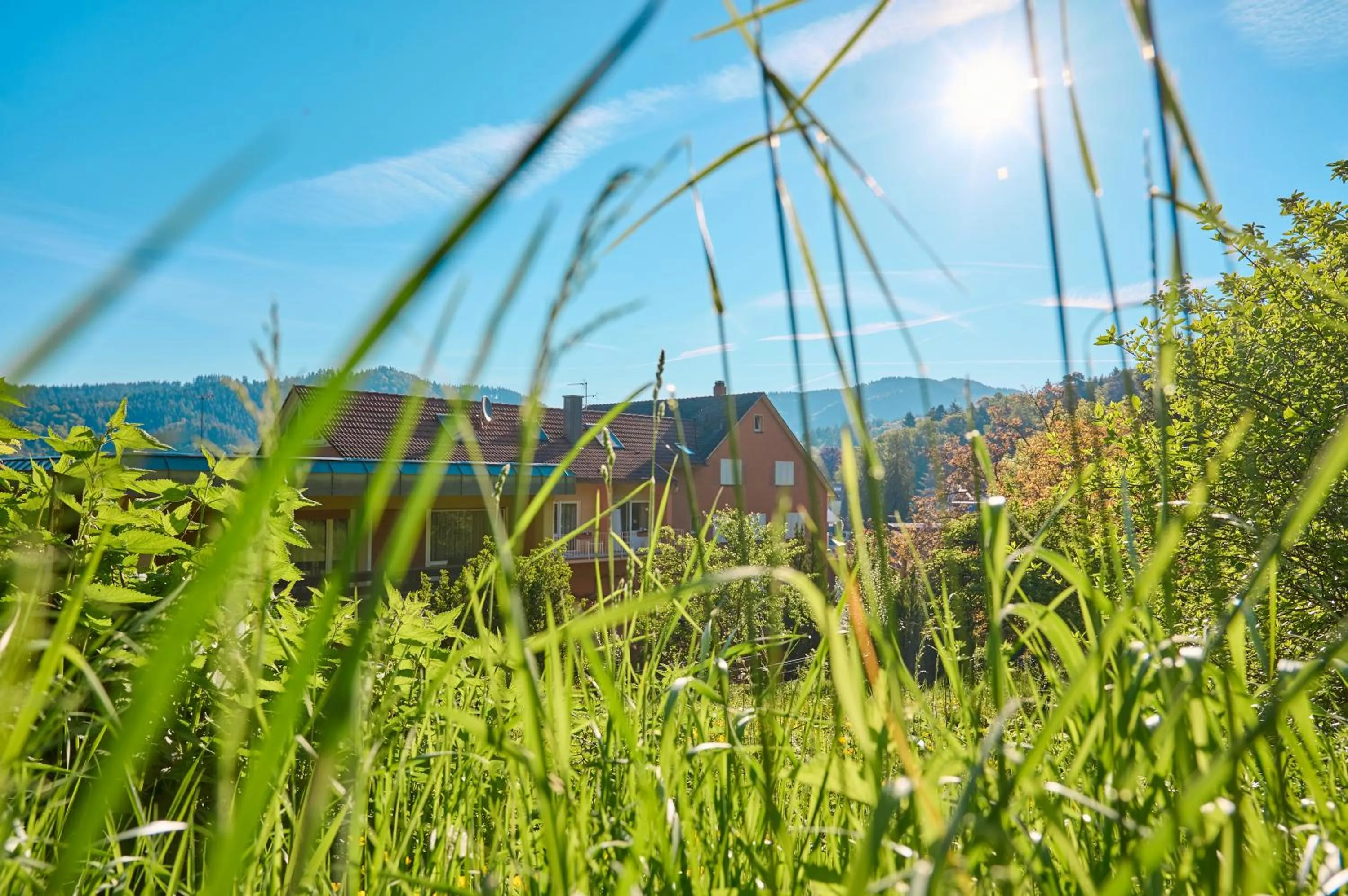 Property building in Hotel Morgensonne