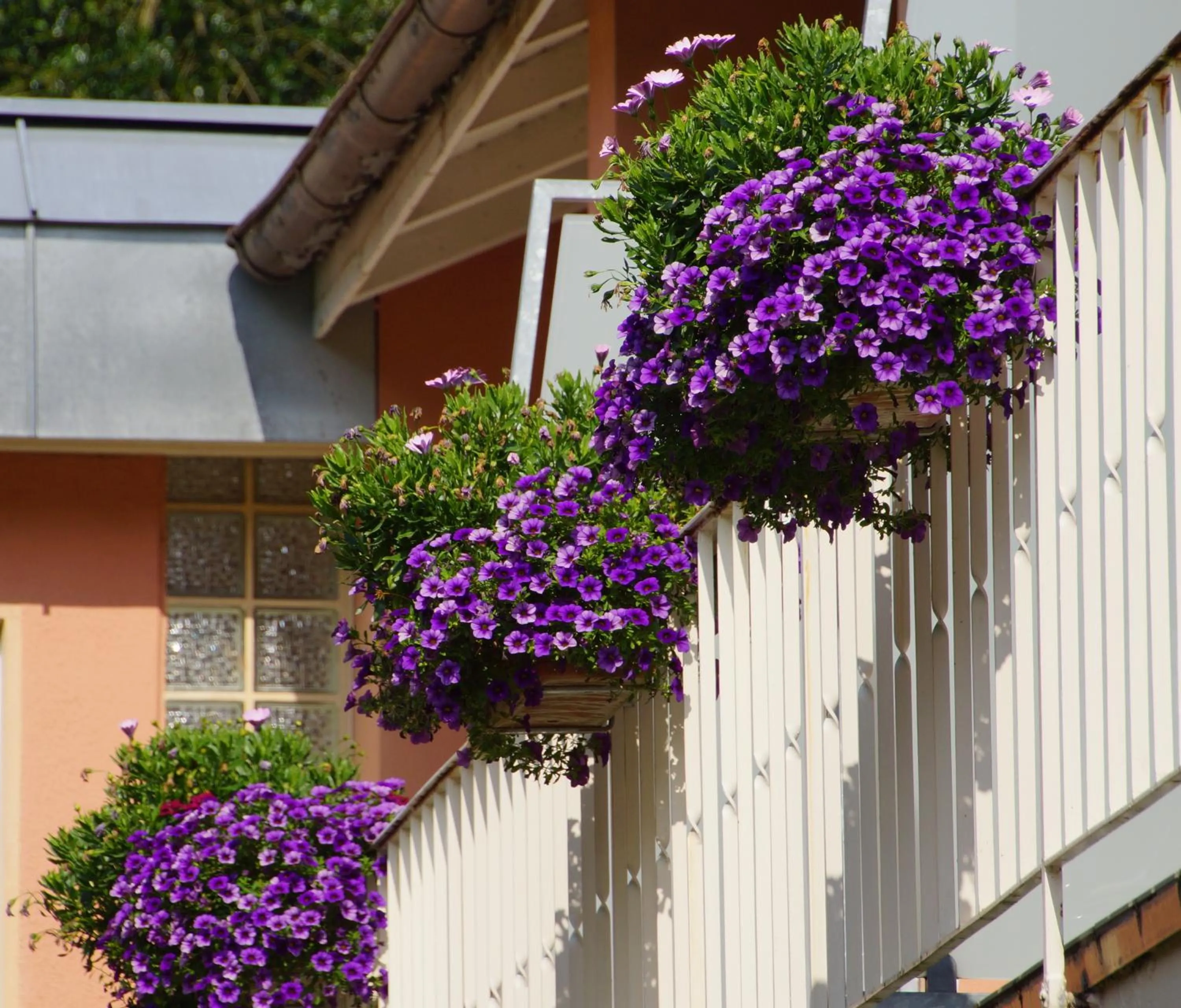 Facade/entrance in Hotel Morgensonne