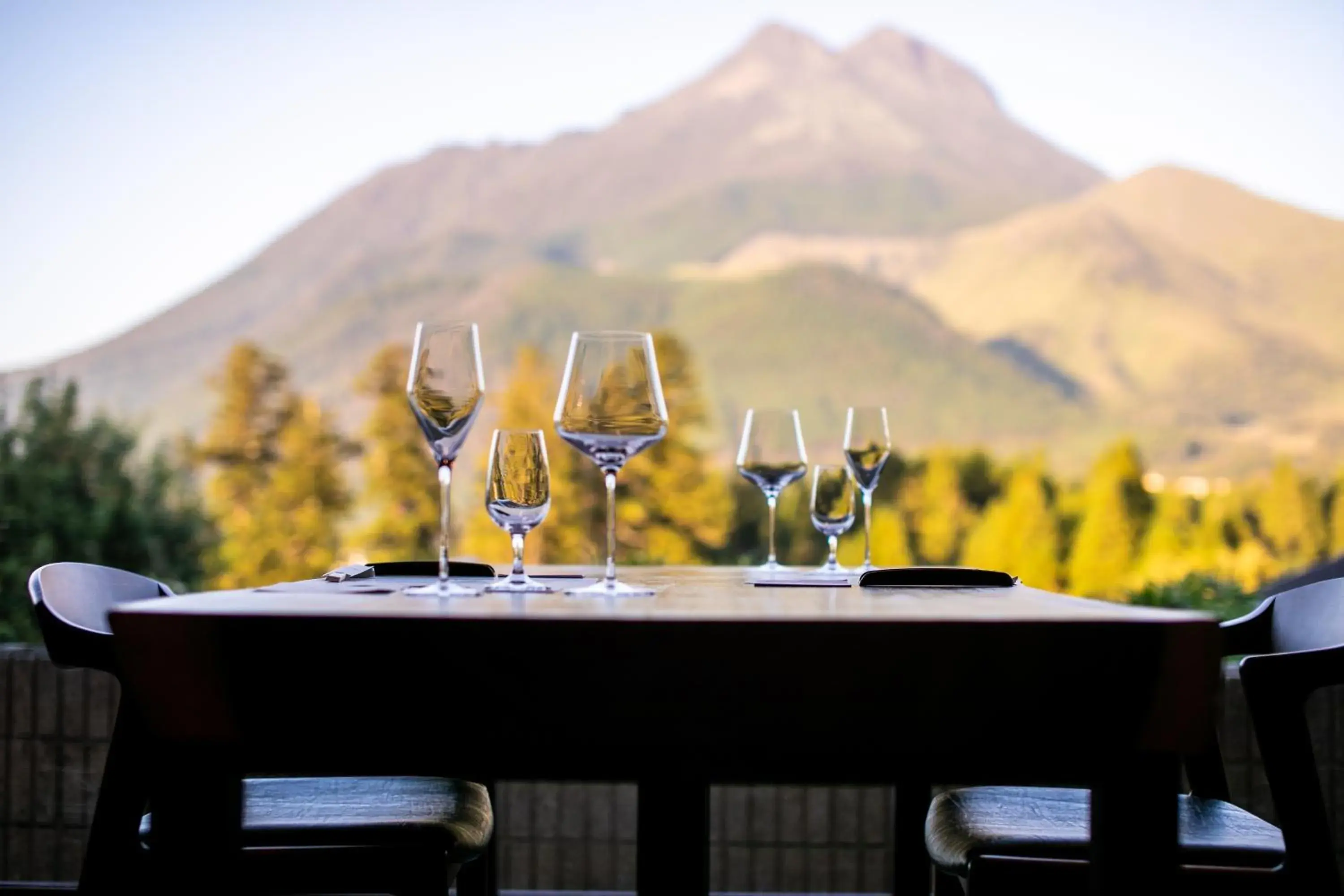 Lobby or reception in Saigakukan Lobby or reception in Saigakukan