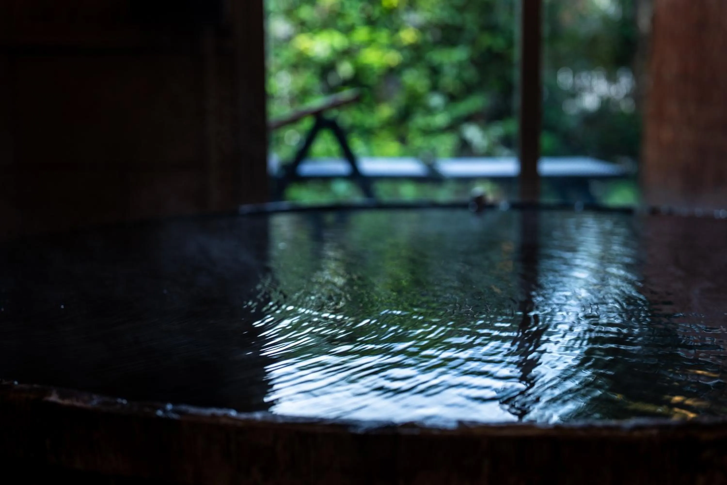 Hot Spring Bath in Saigakukan